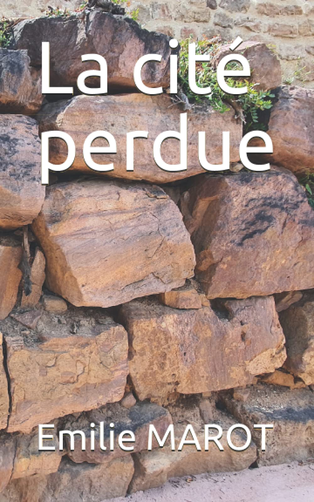 La cité perdue: Dans les méandres du passé, tome 2 book