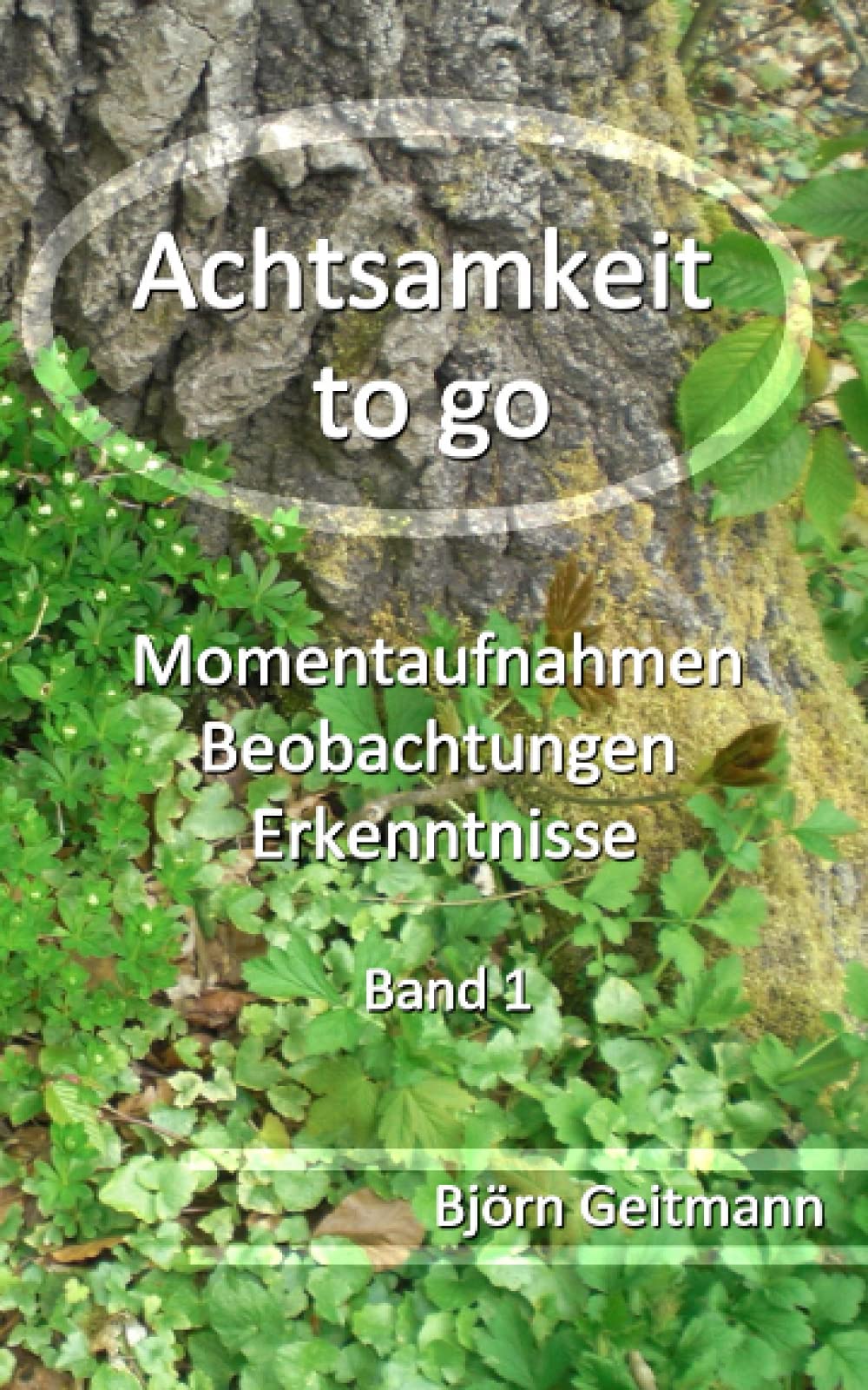 Achtsamkeit to go: Momentaufnahmen, Beobachtungen, Erkenntnisse Band 1 book