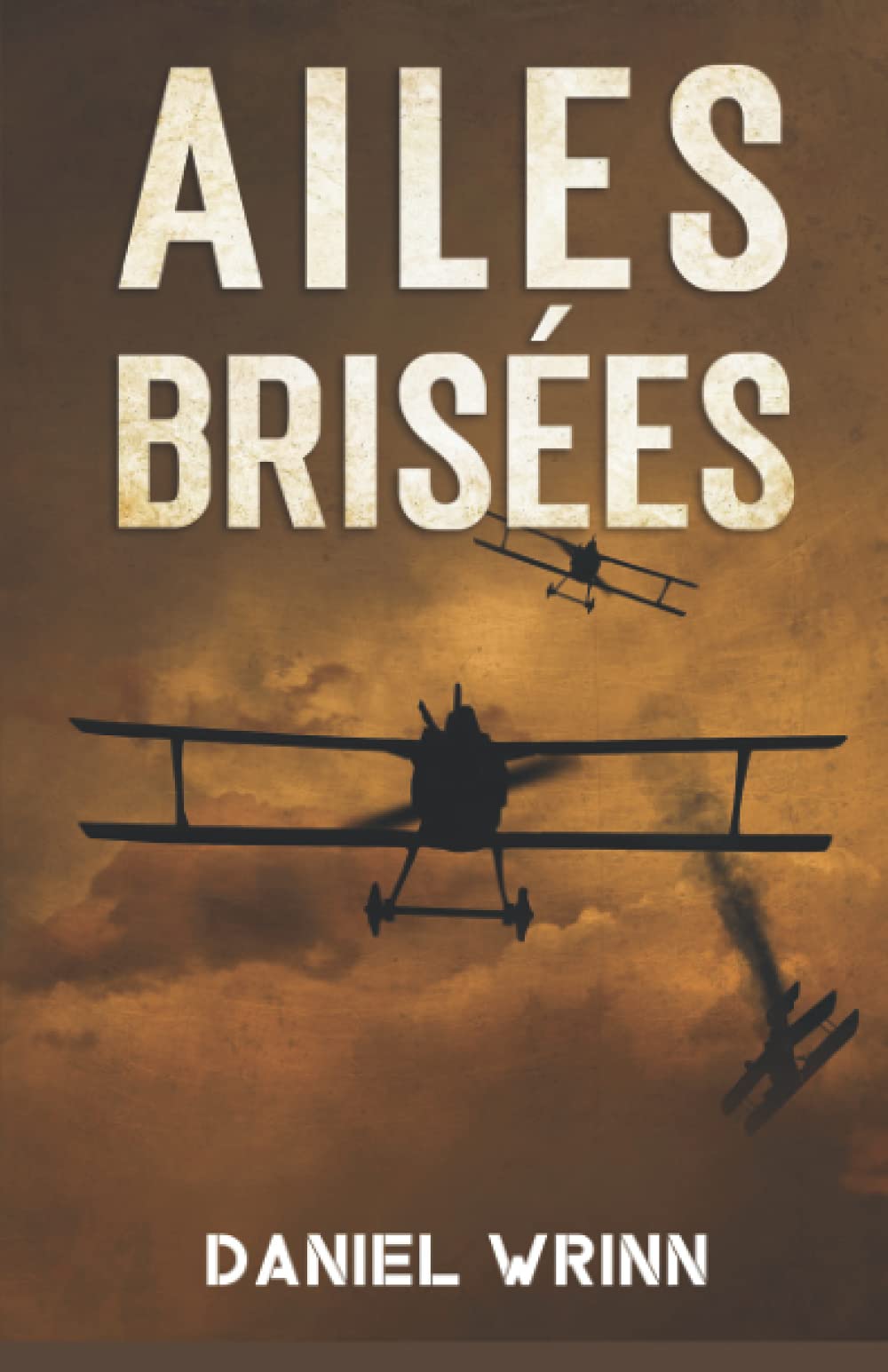 Ailes Brisées: L'histoire de l'évasion et de la survie d'un as de la chasse de la Première Guerre mondiale Biographies