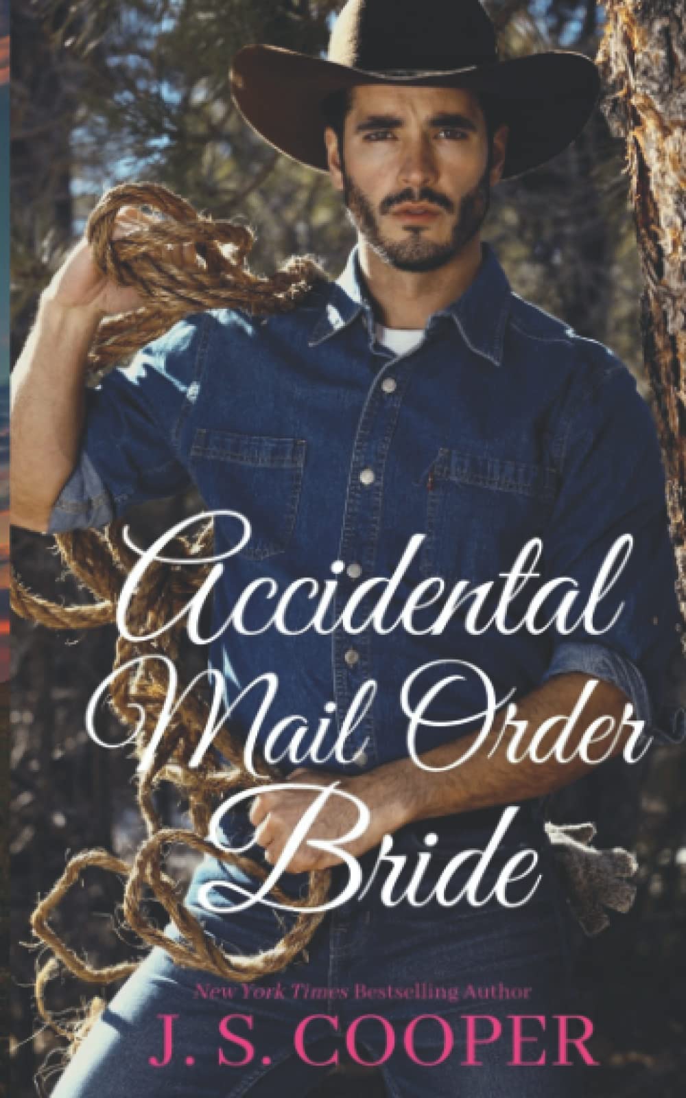 Accidental Mail Order Bride (The Brothers at Horseshoe Ranch, Band 1) Contemporary literature