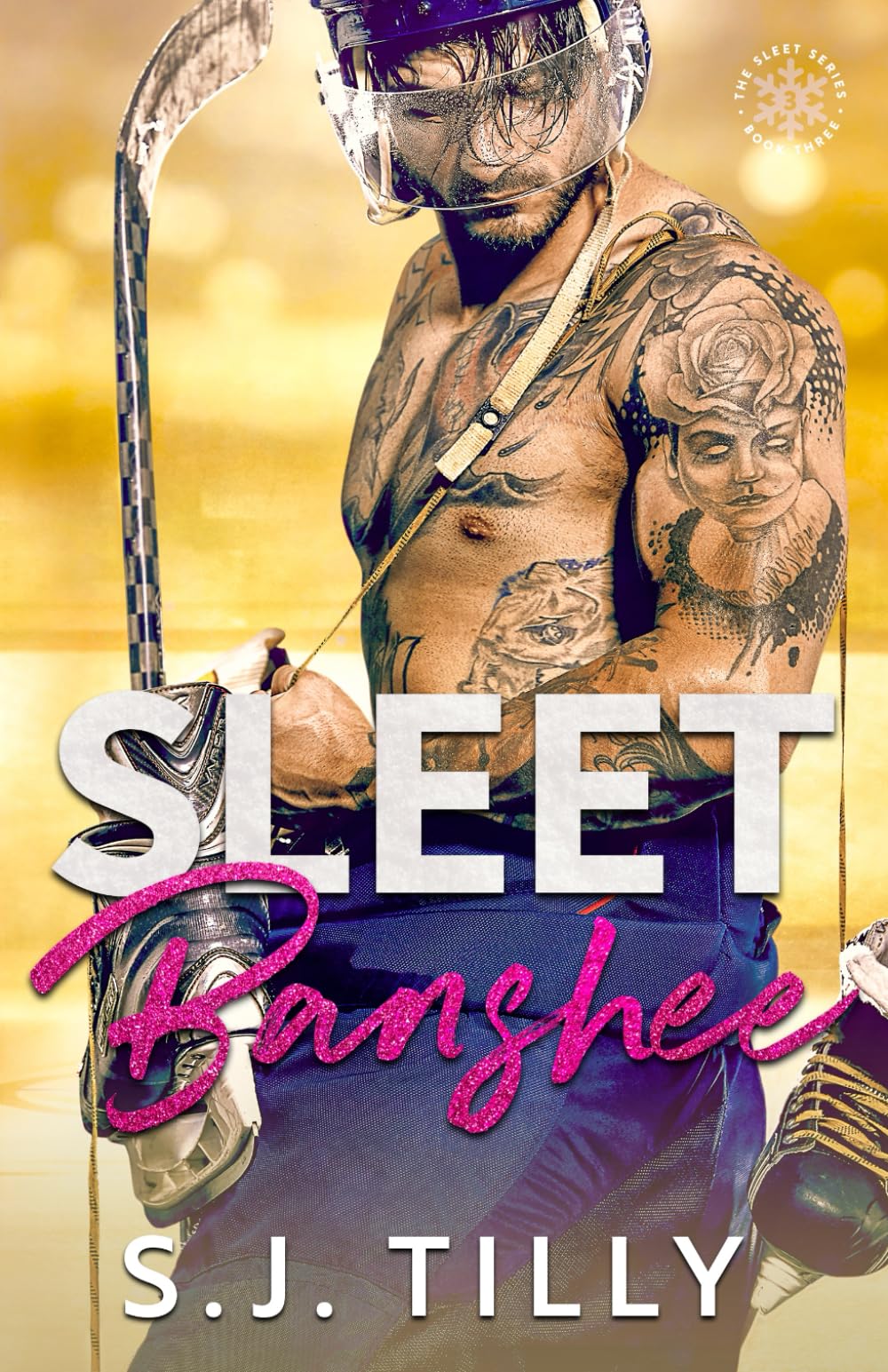 Sleet Banshee: Book Three of the Sleet Series Contemporary literature