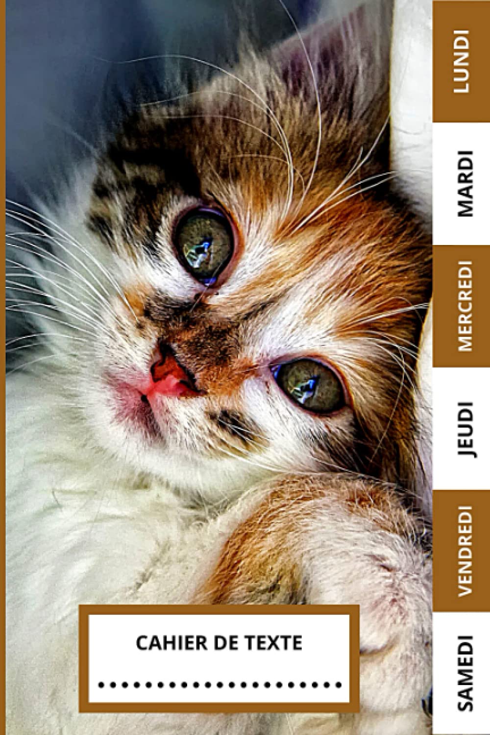 Cahier de Texte: Chat 2021-2022 pour filles et garçons pour la rentrée scolaire avec un intérieur soigné à personnaliser, simple à utiliser, pratique pour Toutes les matières (Leçons et devoirs) Pets