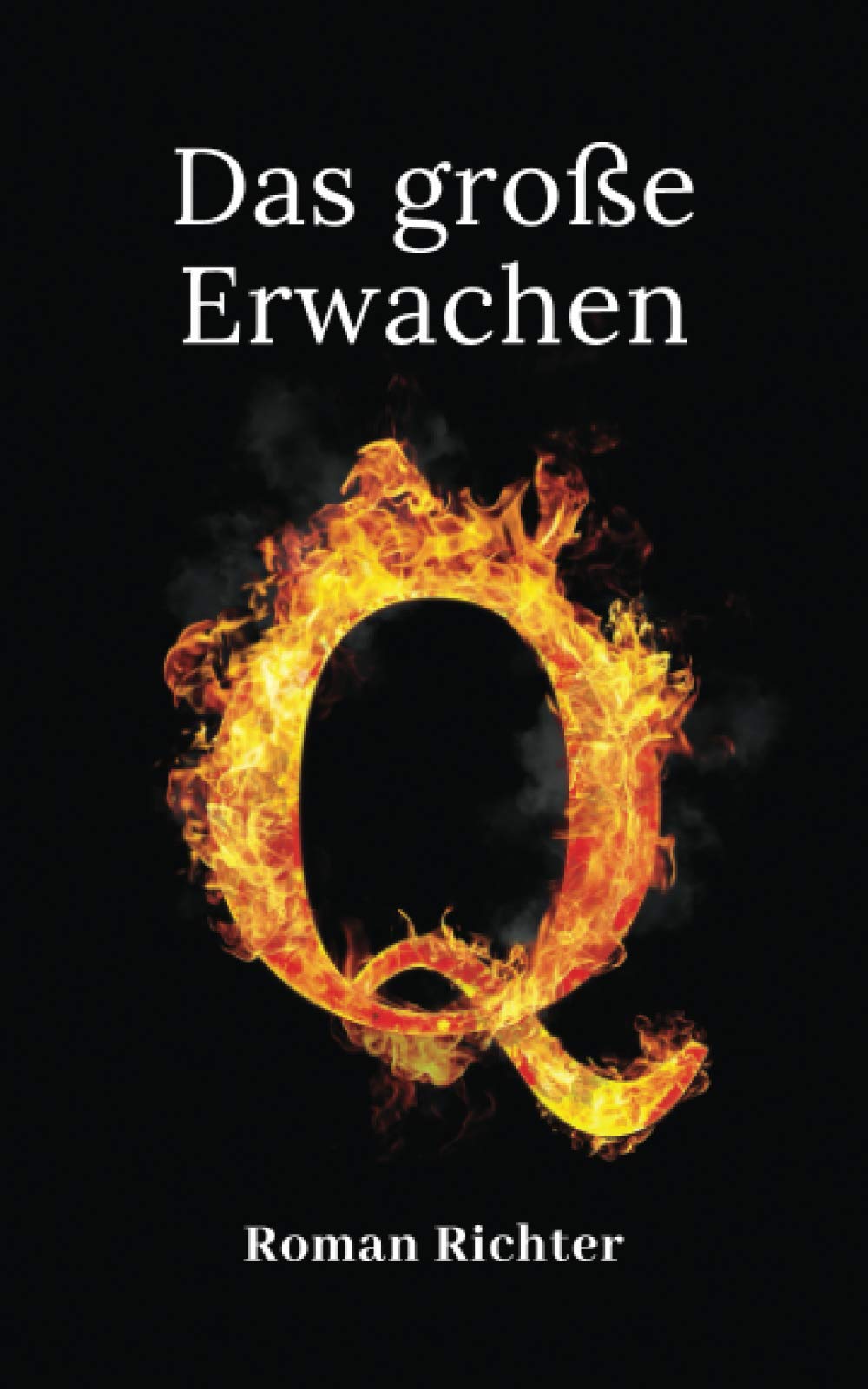 Q: Das große Erwachen (Die Q Reihe) Social Sciences