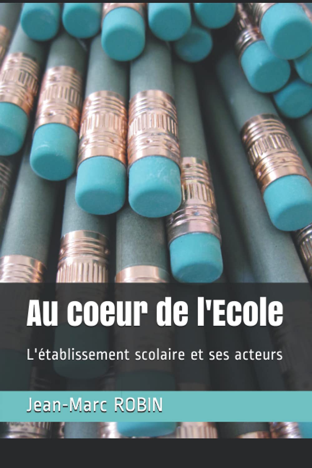 Au coeur de l'Ecole: L'établissement scolaire et ses acteurs book