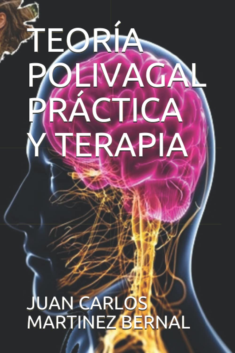 TEORÍA POLIVAGAL PRÁCTICA Y TERAPIA book