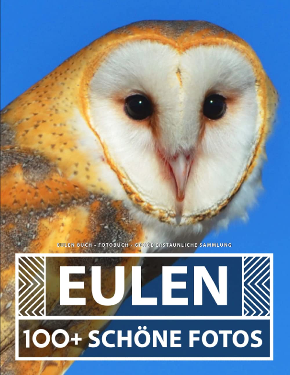 Eulen Buch - Fotobuch - Große Erstaunliche Sammlung: 100 Wunderschöne Bildern - Für Kinder und Erwachsene Nature & Animals