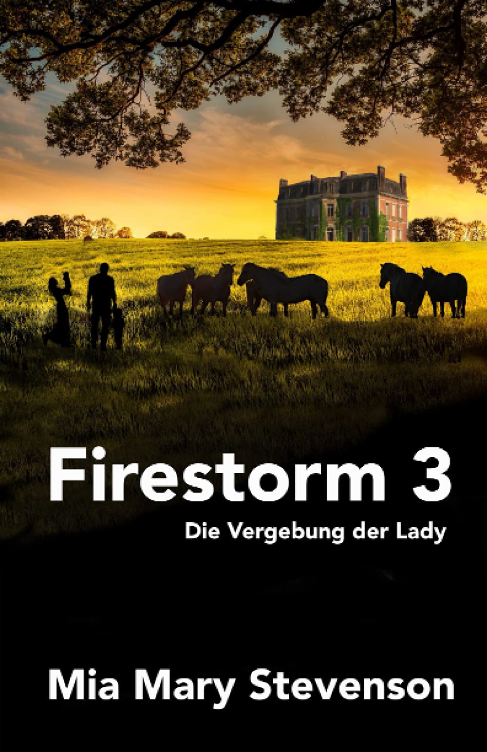Firestorm 3: Die Vergebung der Lady Contemporary literature