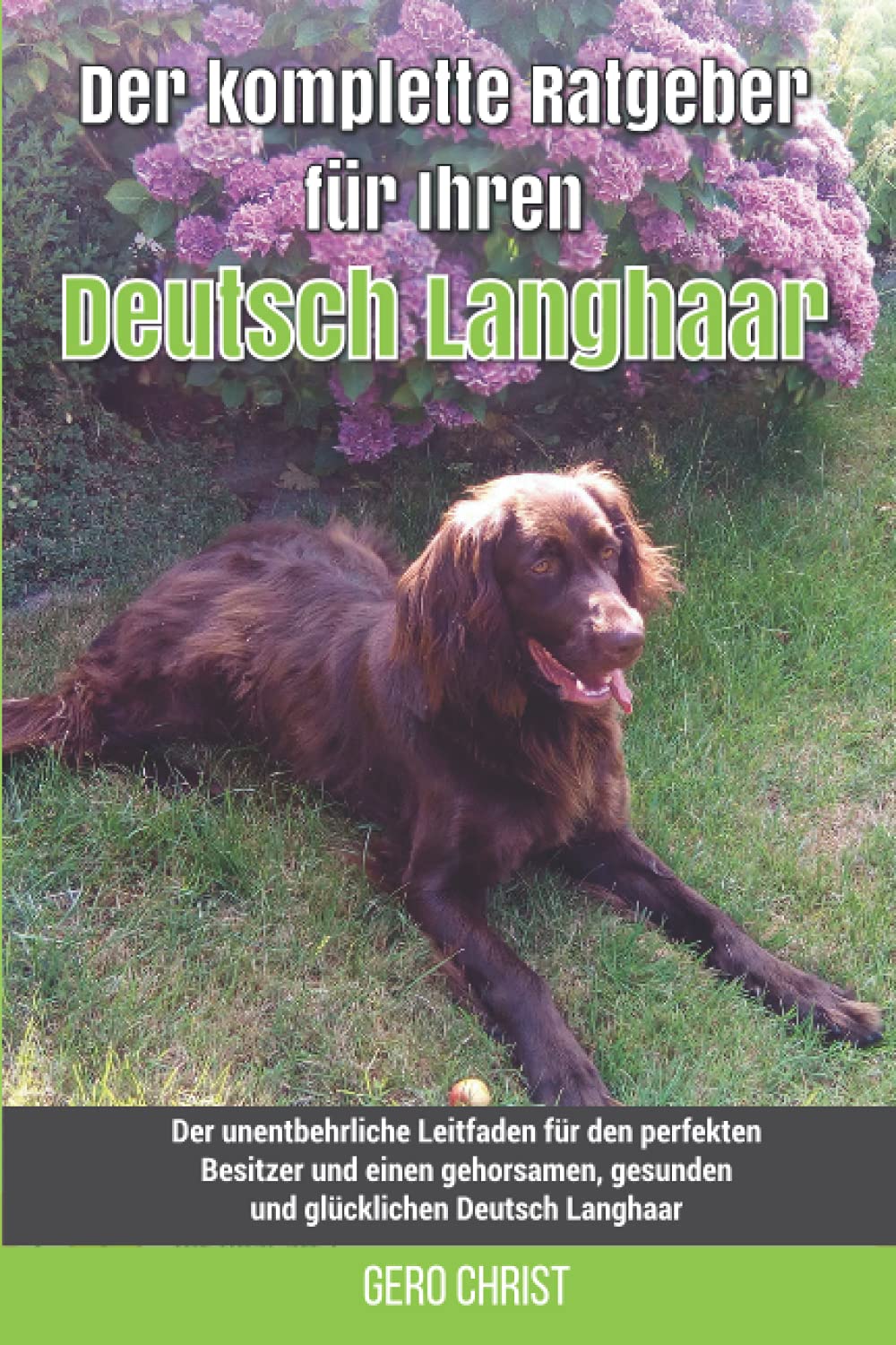 Der komplette Ratgeber für Ihren Deutsch Langhaar: Der unentbehrliche Leitfaden für den perfekten Besitzer und einen gehorsamen, gesunden und glücklichen Deutsch Langhaar Pets
