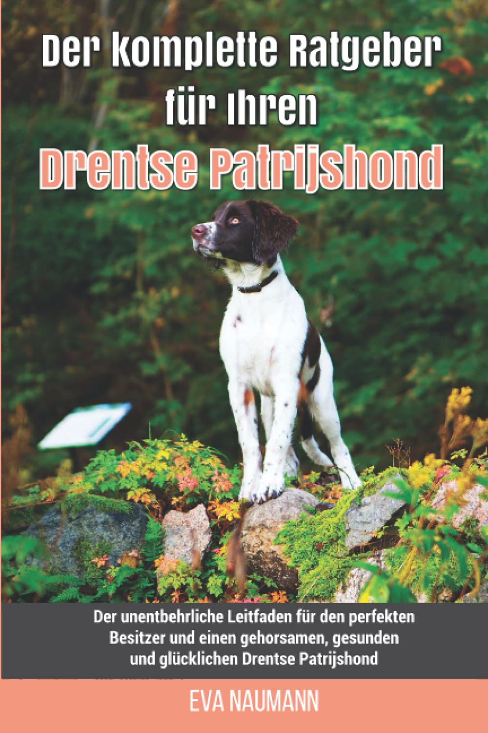 Der komplette Ratgeber für Ihren Drentse Patrijshond: Der unentbehrliche Leitfaden für den perfekten Besitzer und einen gehorsamen, gesunden und glücklichen Drentse Patrijshond Pets