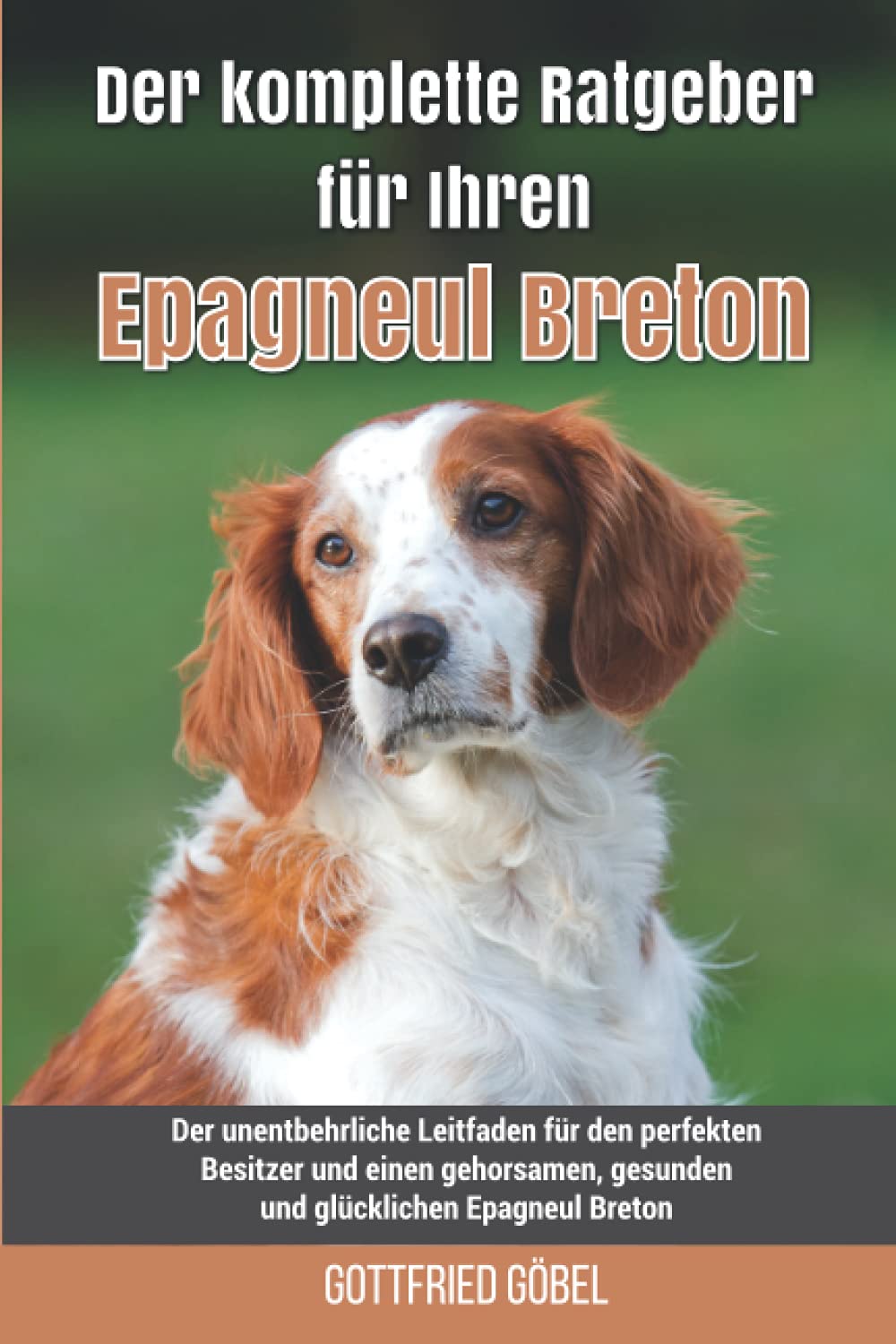 Der komplette Ratgeber für Ihren Epagneul Breton: Der unentbehrliche Leitfaden für den perfekten Besitzer und einen gehorsamen, gesunden und glücklichen Epagneul Breton Pets