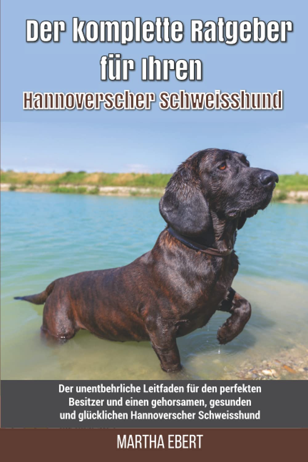 Der komplette Ratgeber für Ihren Hannoverscher Schweisshund: Der unentbehrliche Leitfaden für den perfekten Besitzer und einen gehorsamen, gesunden und glücklichen Hannoverscher Schweisshund book