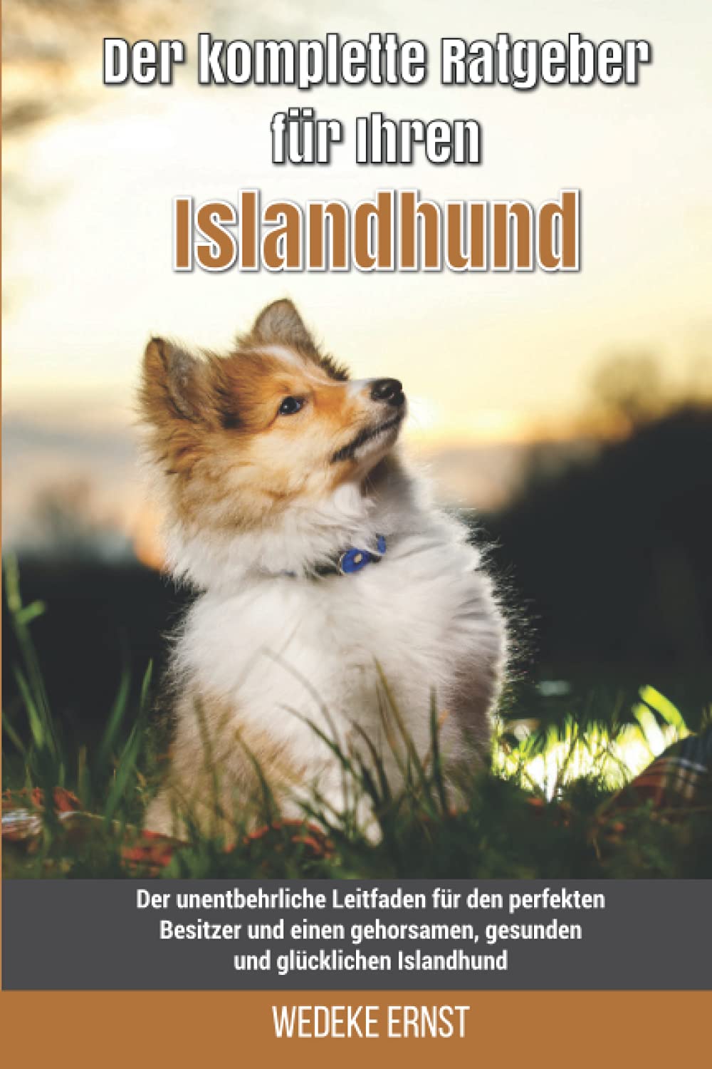 Der komplette Ratgeber für Ihren Islandhund: Der unentbehrliche Leitfaden für den perfekten Besitzer und einen gehorsamen, gesunden und glücklichen Islandhund Pets