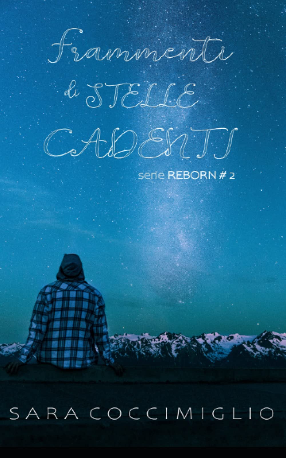 Frammenti di Stelle Cadenti: (Reborn Vol. 2) book
