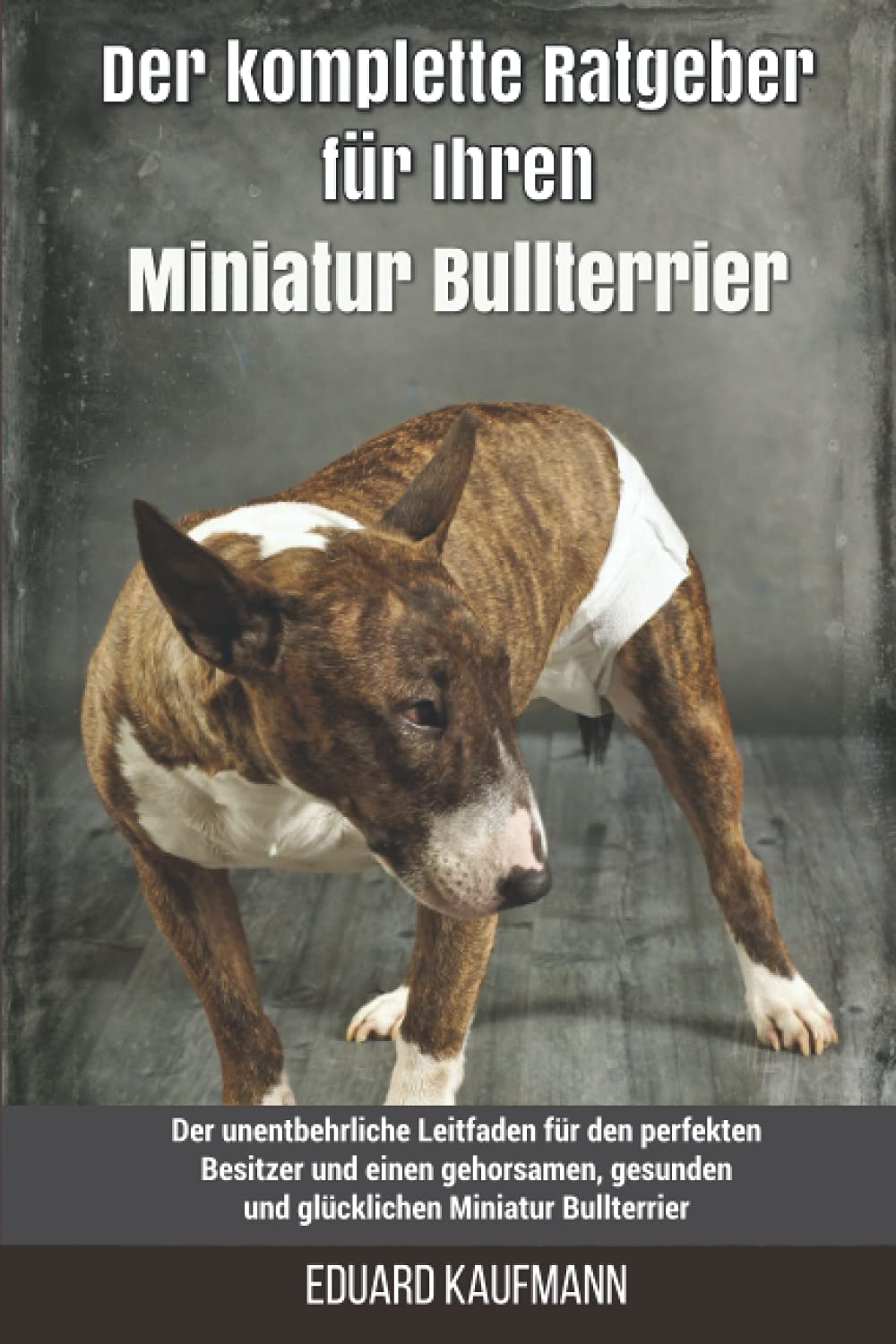 Der komplette Ratgeber für Ihren Miniatur Bullterrier: Der unentbehrliche Leitfaden für den perfekten Besitzer und einen gehorsamen, gesunden und glücklichen Miniatur Bullterrier book