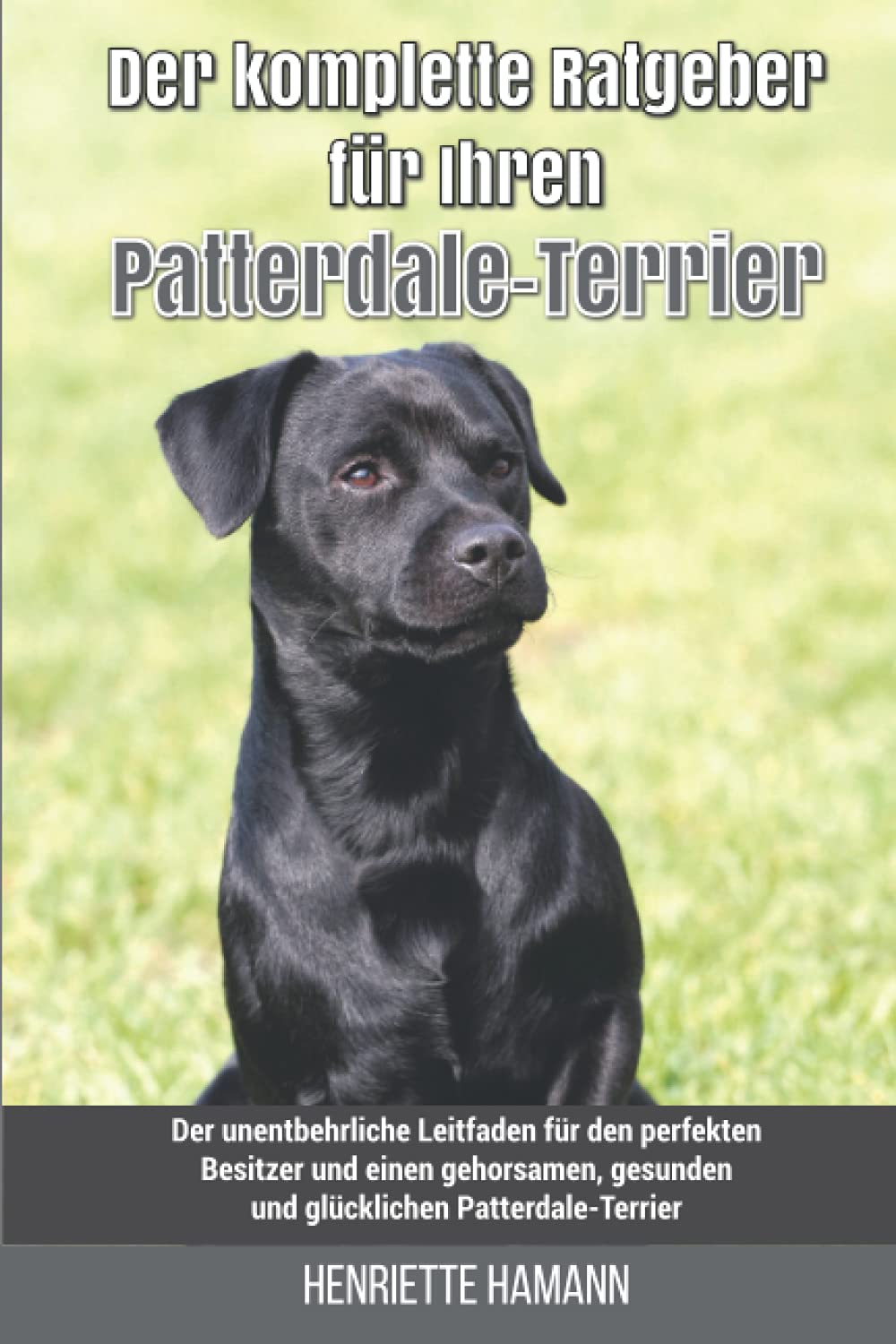 Der komplette Ratgeber für Ihren Patterdale-Terrier: Der unentbehrliche Leitfaden für den perfekten Besitzer und einen gehorsamen, gesunden und glücklichen Patterdale-Terrier Pets