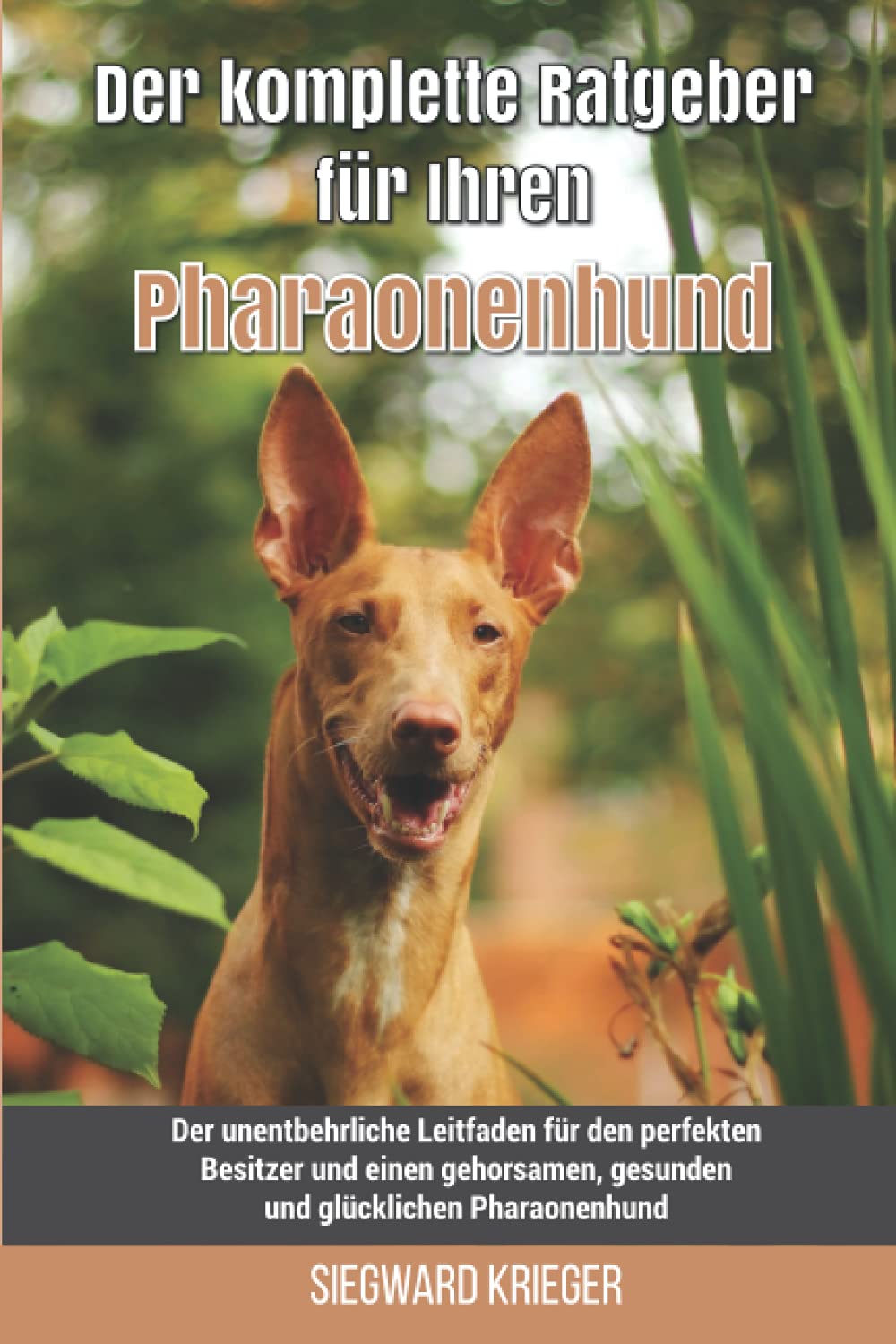 Der komplette Ratgeber für Ihren Pharaonenhund: Der unentbehrliche Leitfaden für den perfekten Besitzer und einen gehorsamen, gesunden und glücklichen Pharaonenhund Pets