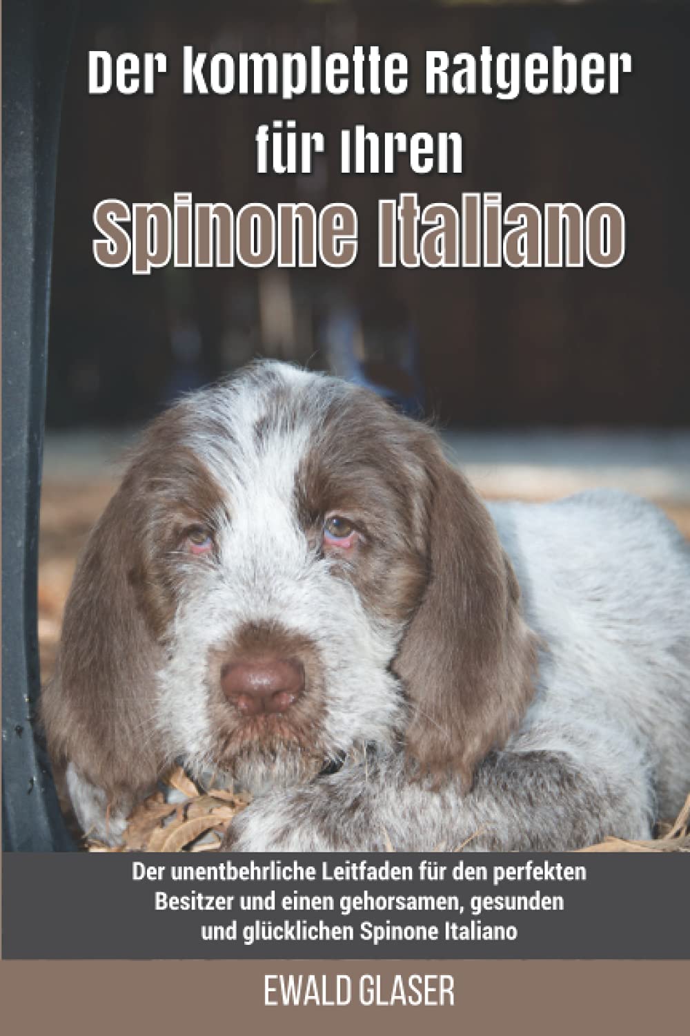 Der komplette Ratgeber für Ihren Spinone Italiano: Der unentbehrliche Leitfaden für den perfekten Besitzer und einen gehorsamen, gesunden und glücklichen Spinone Italiano Pets