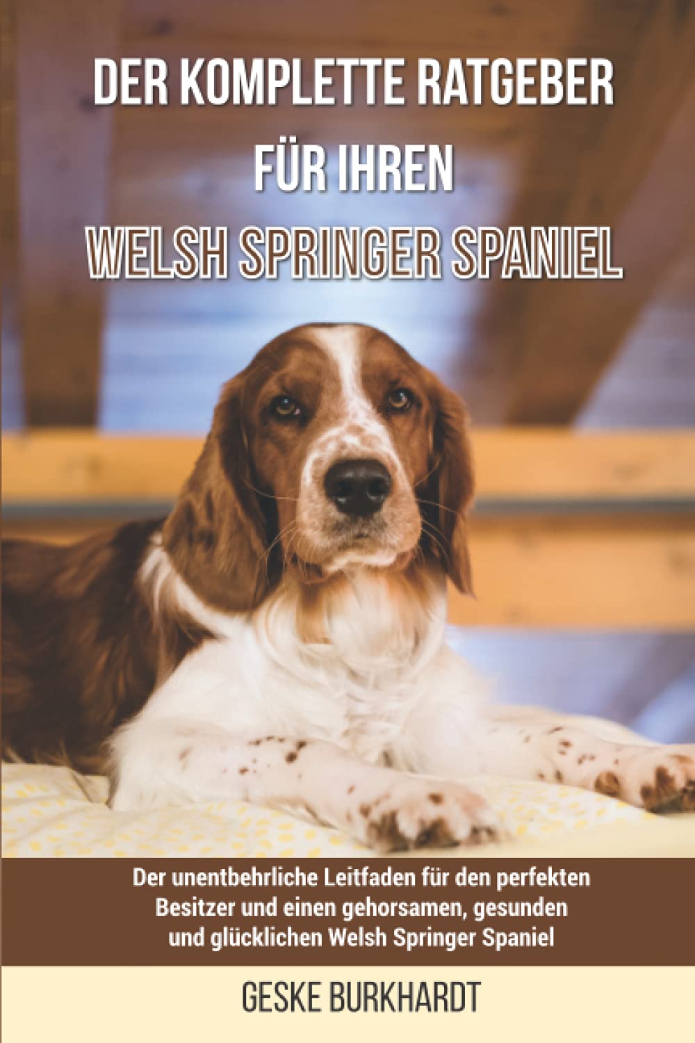 Der komplette Ratgeber für Ihren Welsh Springer Spaniel: Der unentbehrliche Leitfaden für den perfekten Besitzer und einen gehorsamen, gesunden und glücklichen Welsh Springer Spaniel Pets