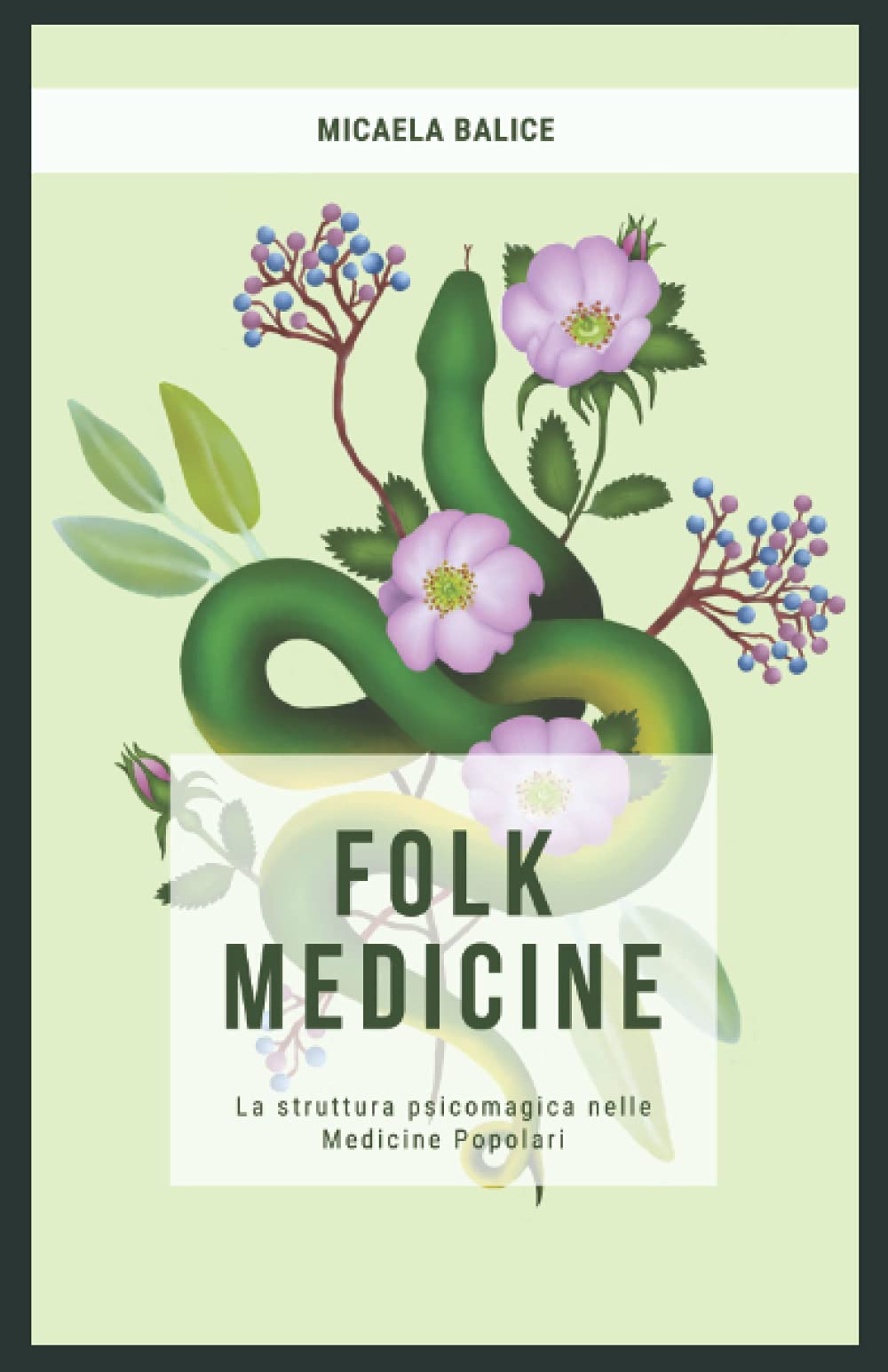Folk Medicine: La struttura psicomagica nelle medicine popolari book
