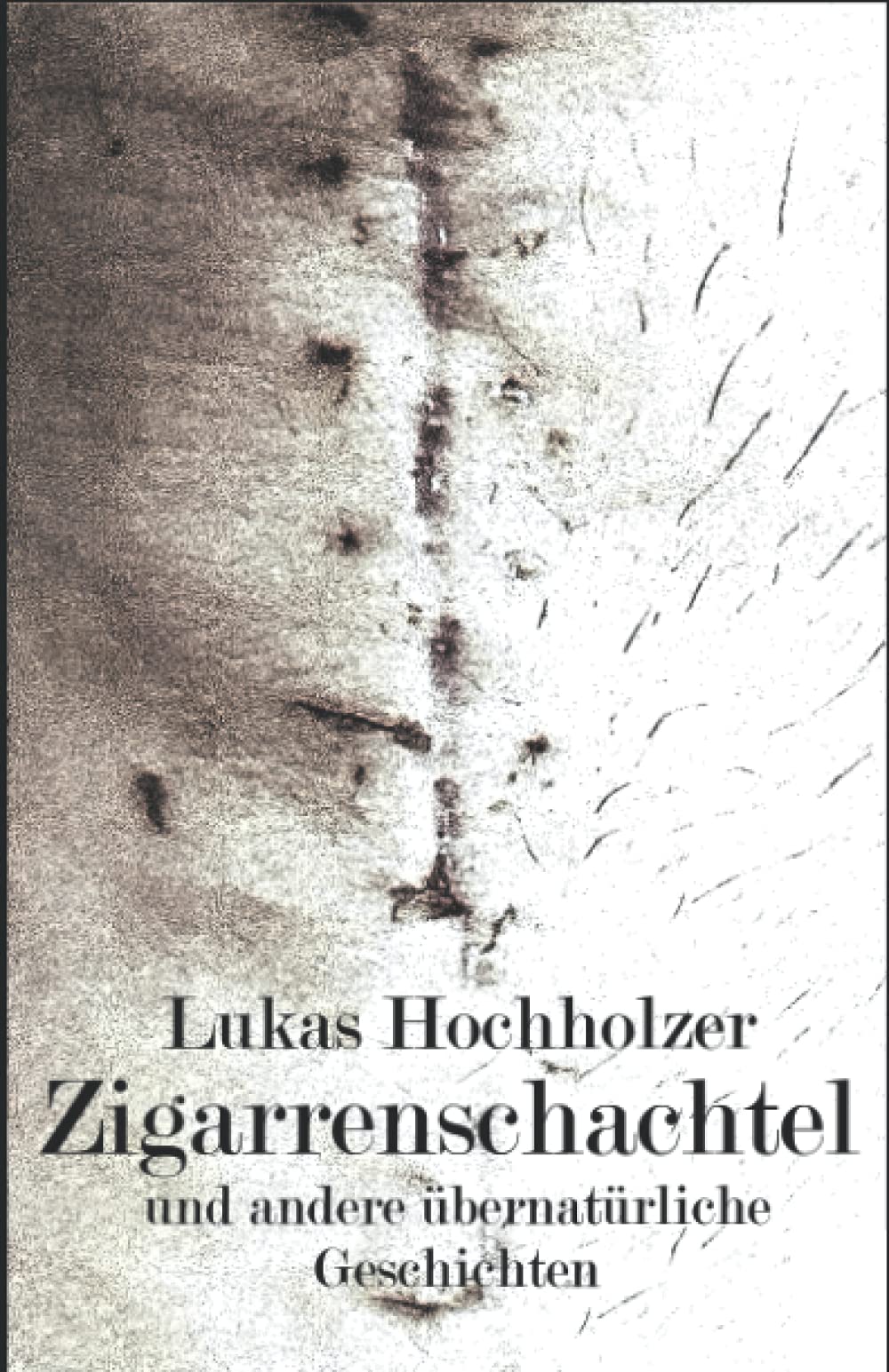 Zigarrenschachtel: und andere übernatürliche Geschichten book