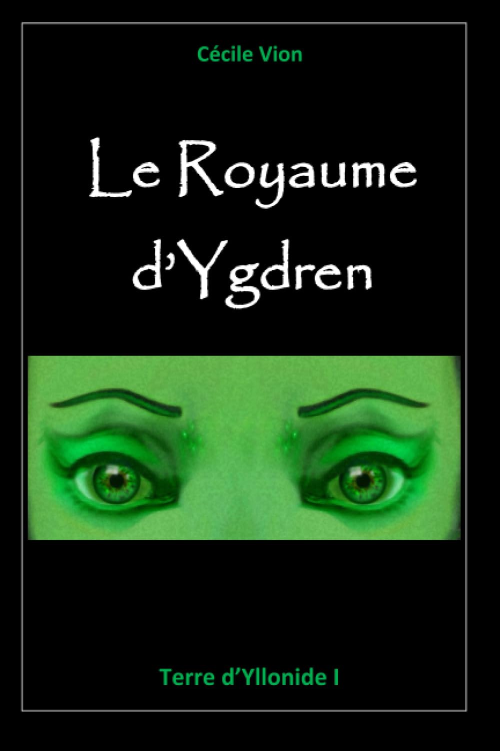 Le Royaume d'Ygdren (Terre d'Yllonide, Band 1) Action & Adventure