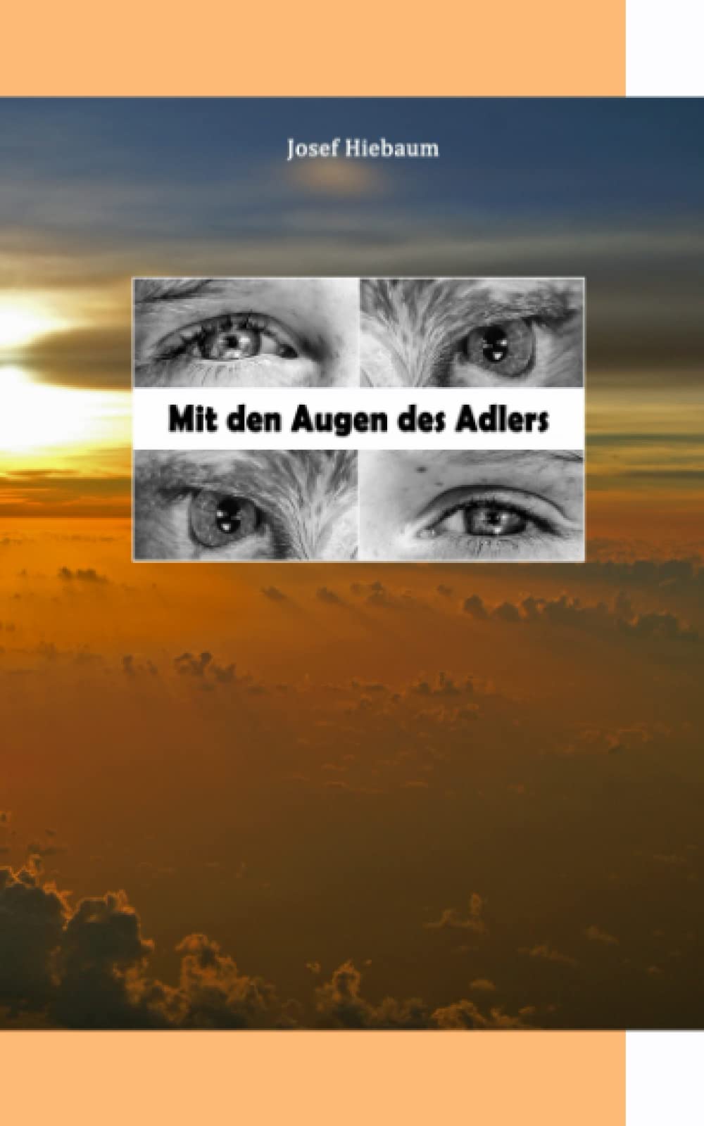Mit den Augen des Adlers: Neuauflage Books