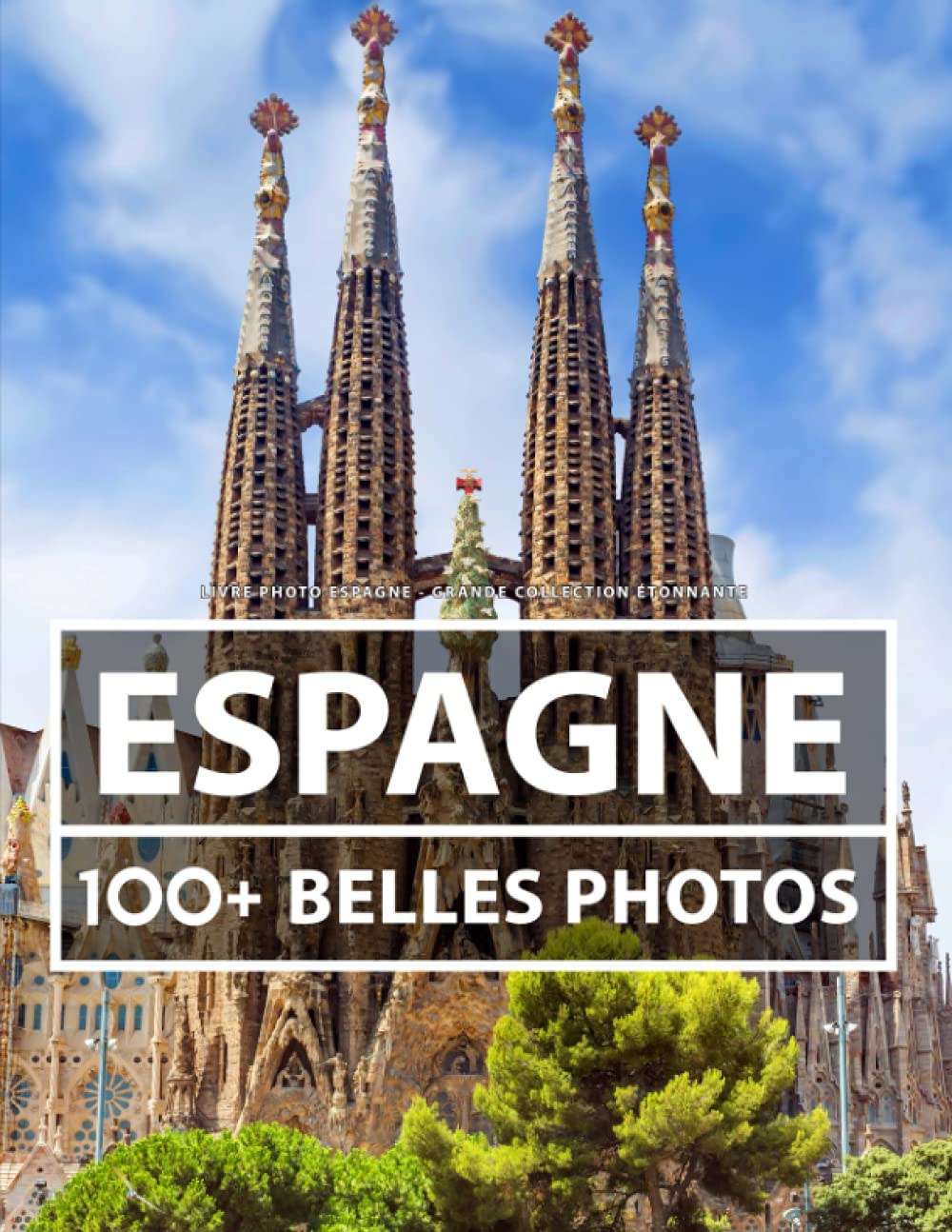 Livre Photo Espagne - Grande Collection Étonnante: 100 Belles Photos Dans Ce Livre Fantastique - Pour Enfants Et Adultes Nature & Animals