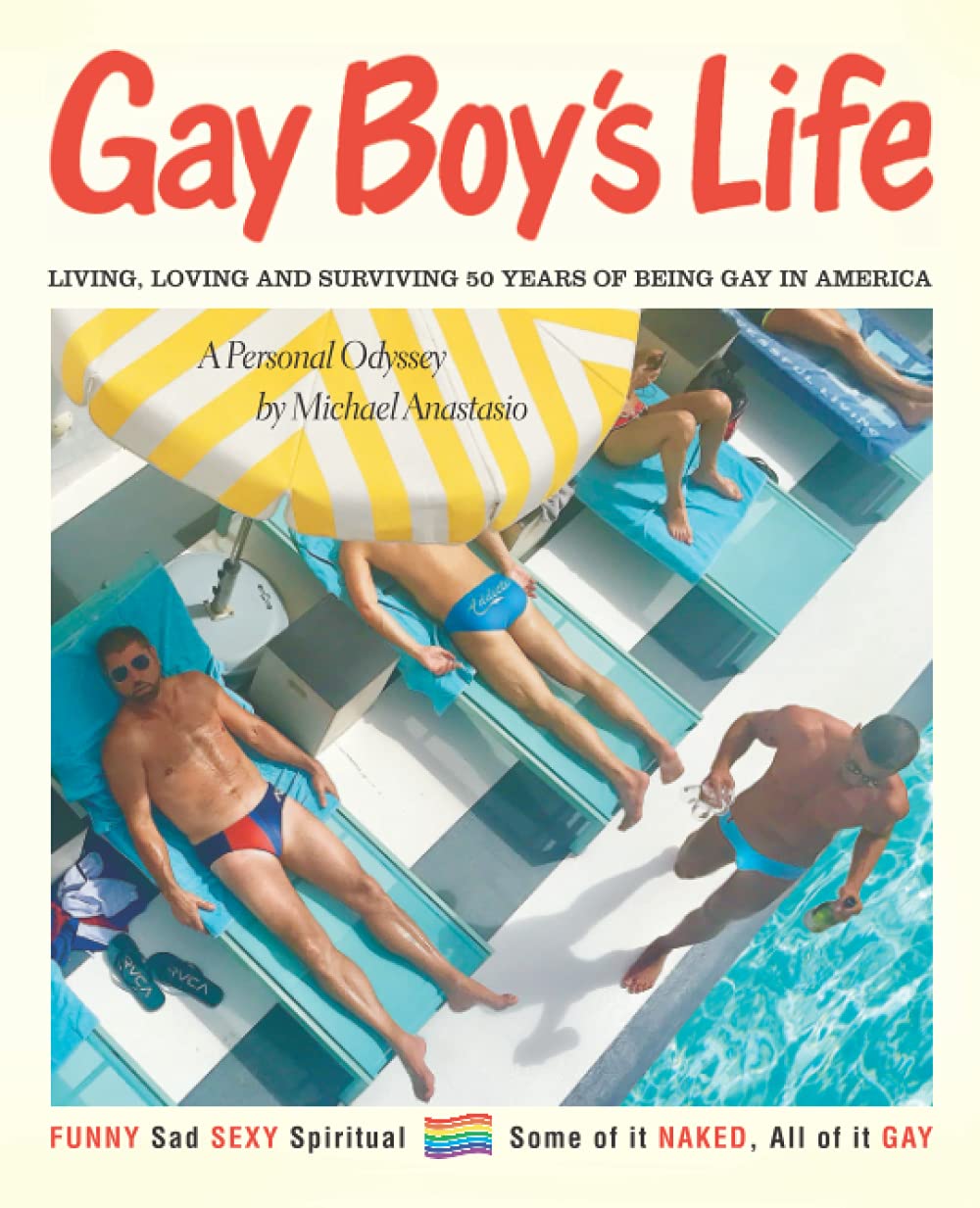 Gay Boy's Life: Living, Loving and Surviving 50 Years Of Being Gay In America Politics & Society Books