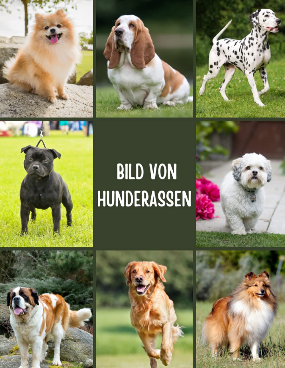 Bild von Hunderassen: Fotografie von 100 Hunderassen für Kinder, Hundeliebhaber, Demenz, Senioren und Alzheimer. Non-fiction