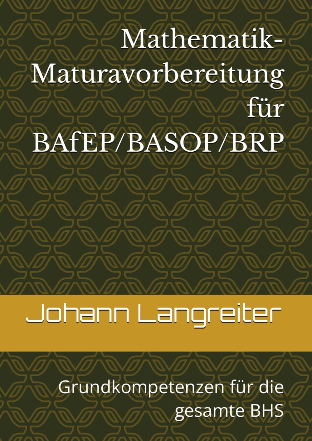 Mathematik-Maturavorbereitung für BAfEP/BASOP/BRP: Grundkompetenzen für die gesamte BHS book
