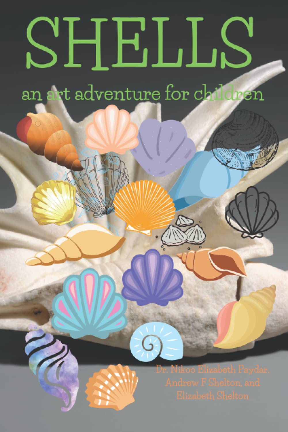 Shells: An Art Adventure for Children (Art Adventures for Children) Non-fiction