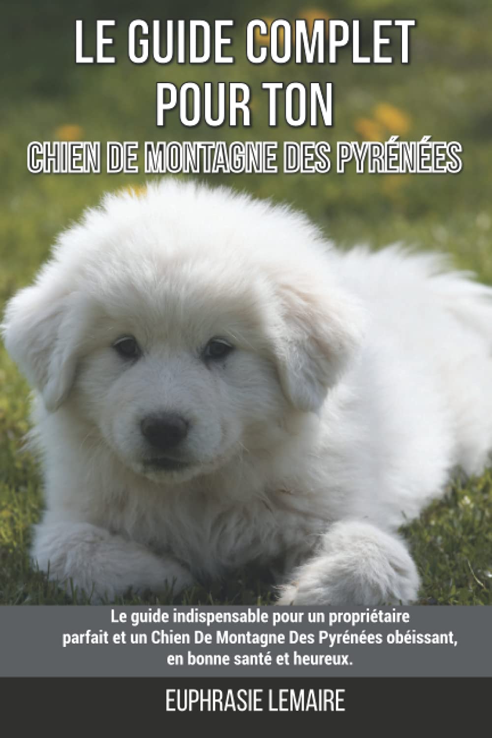 Le guide complet pour ton Chien De Montagne Des Pyrénées: Le guide indispensable pour un propriétaire parfait et un Chien De Montagne Des Pyrénées obéissant, en bonne santé et heureux. book