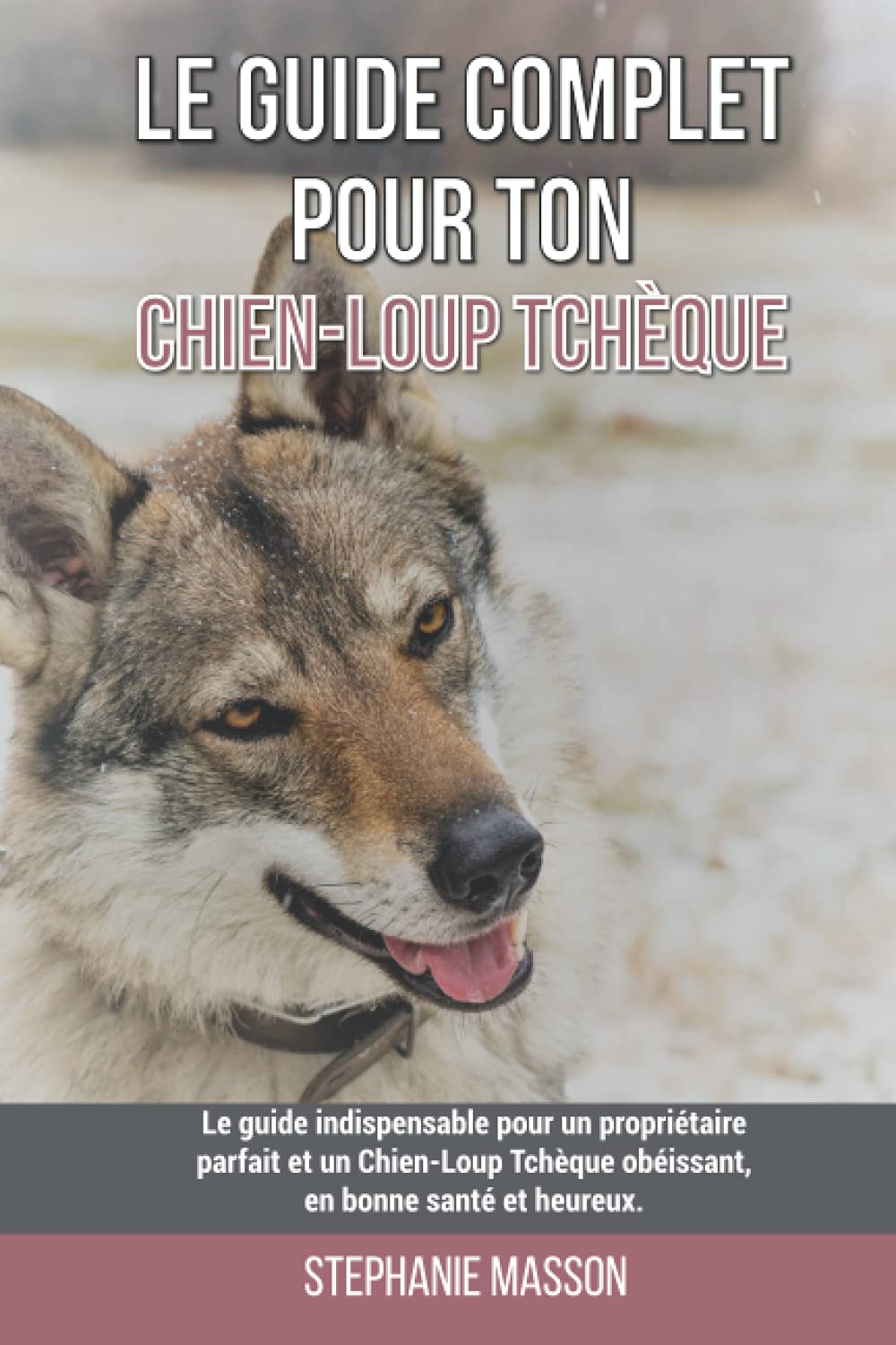 Le guide complet pour ton Chien-Loup Tchèque: Le guide indispensable pour un propriétaire parfait et un Chien-Loup Tchèque obéissant, en bonne santé et heureux. book