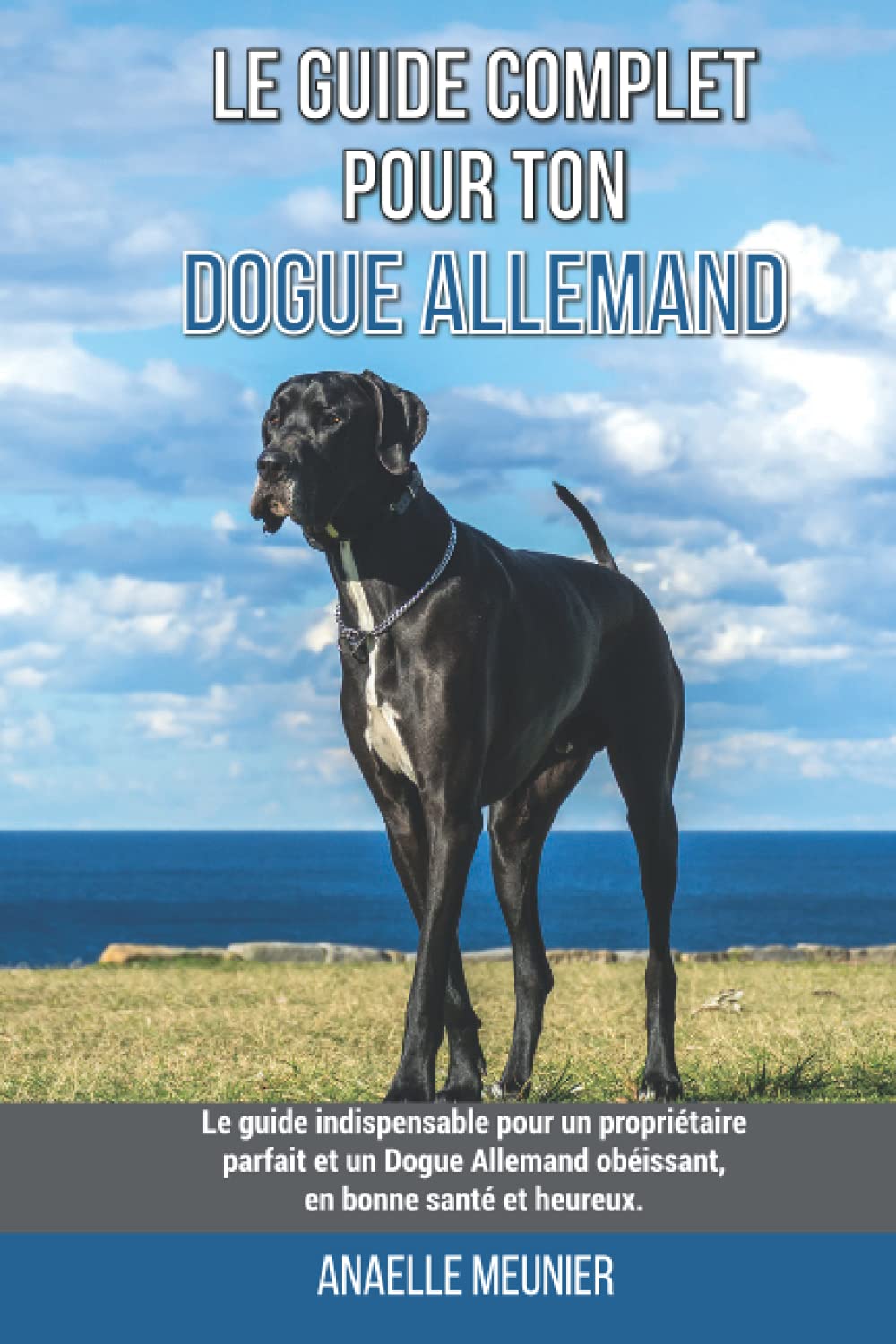 Le guide complet pour ton Dogue Allemand: Le guide indispensable pour un propriétaire parfait et un Dogue Allemand obéissant, en bonne santé et heureux. book