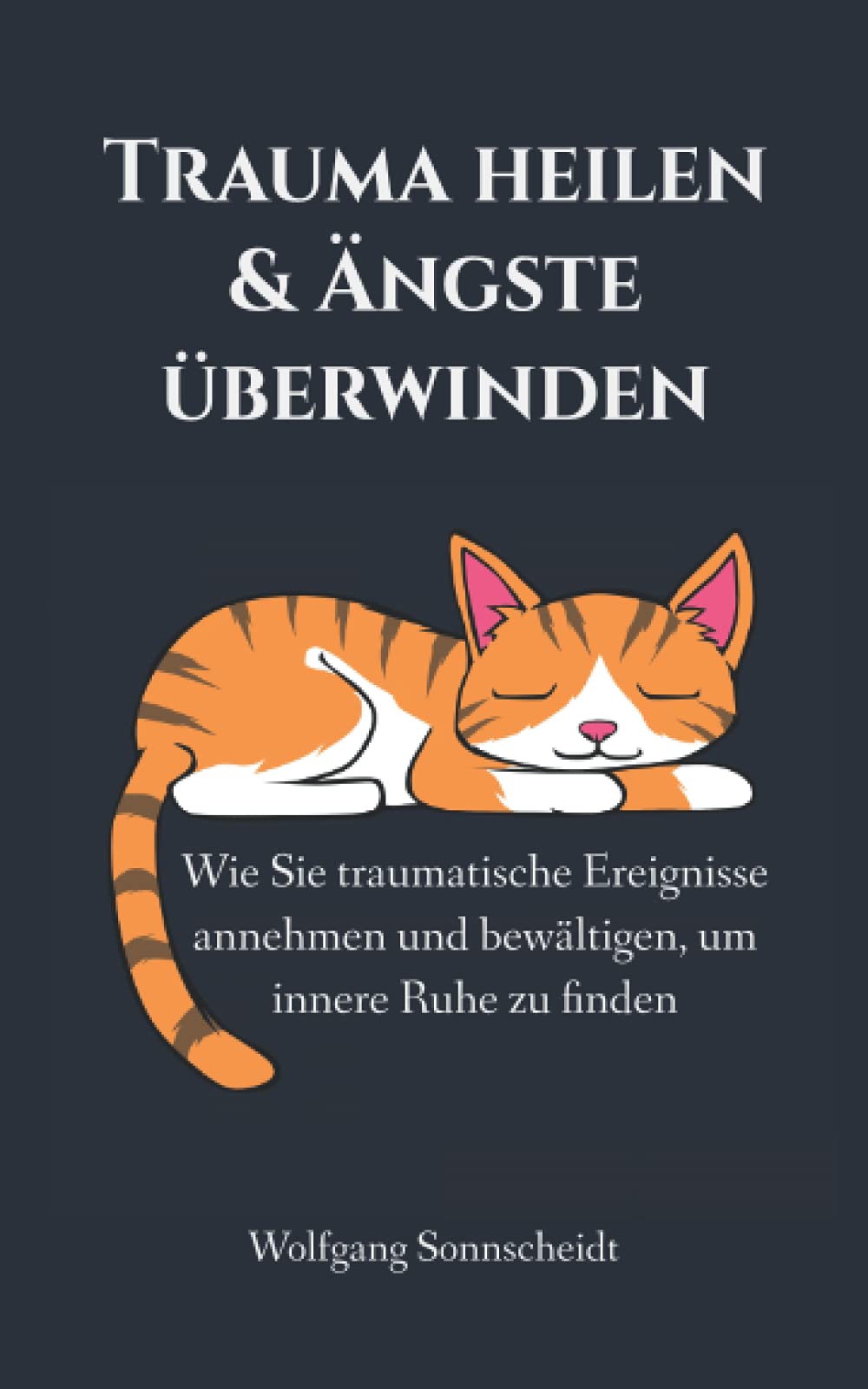 Trauma heilen & Ängste überwinden: Wie Sie traumatische Ereignisse annehmen und bewältigen, um innere Ruhe zu finden book