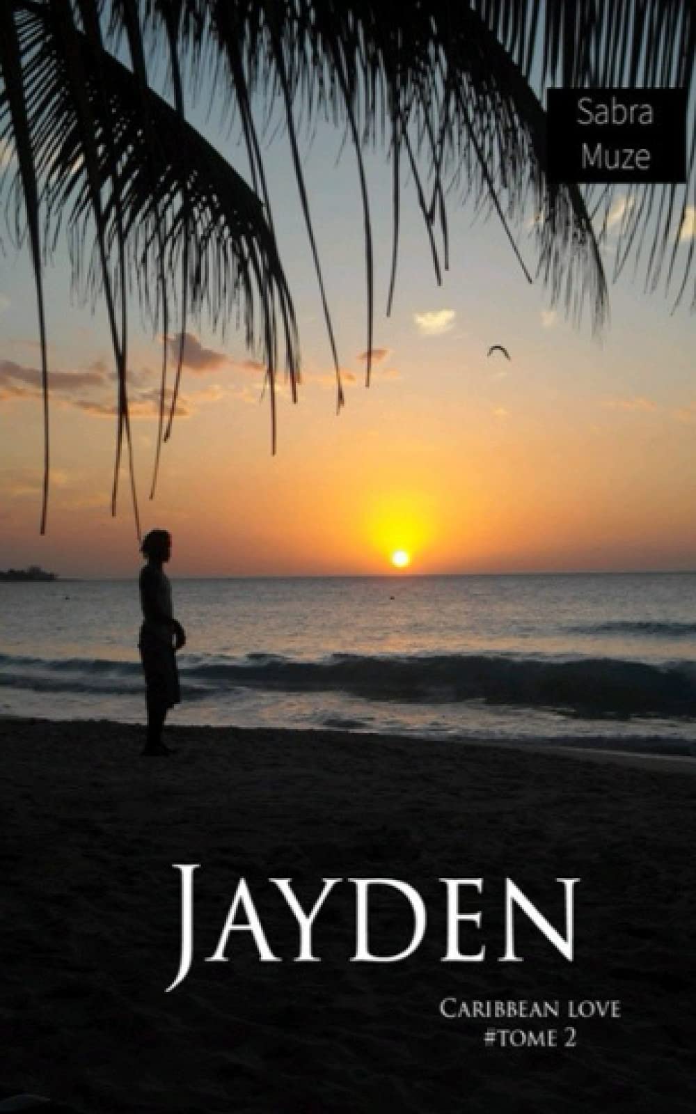 Jayden (Caribbean Love, Band 2) LGBTQ+