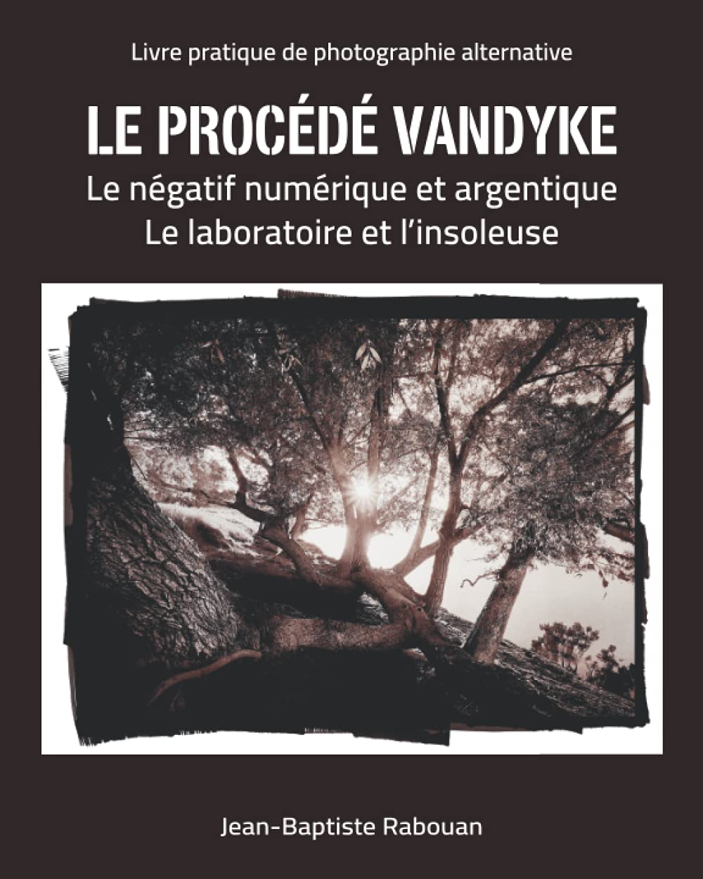 Le procédé vandyke: Le négatif numérique et argentique Le laboratoire et l'insoleuse book