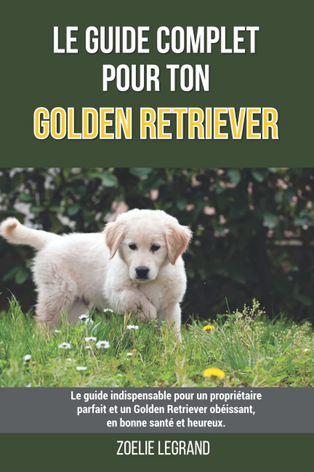 Le guide complet pour ton Golden Retriever: Le guide indispensable pour un propriétaire parfait et un Golden Retriever obéissant, en bonne santé et heureux. Pets
