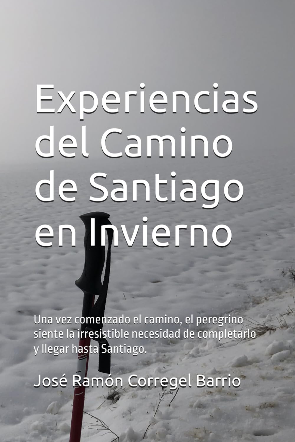Experiencias del Camino de Santiago en invierno: Una vez comenzado el camino, el peregrino siente la irresistible necesidad de completarlo y llegar hasta Santiago. book