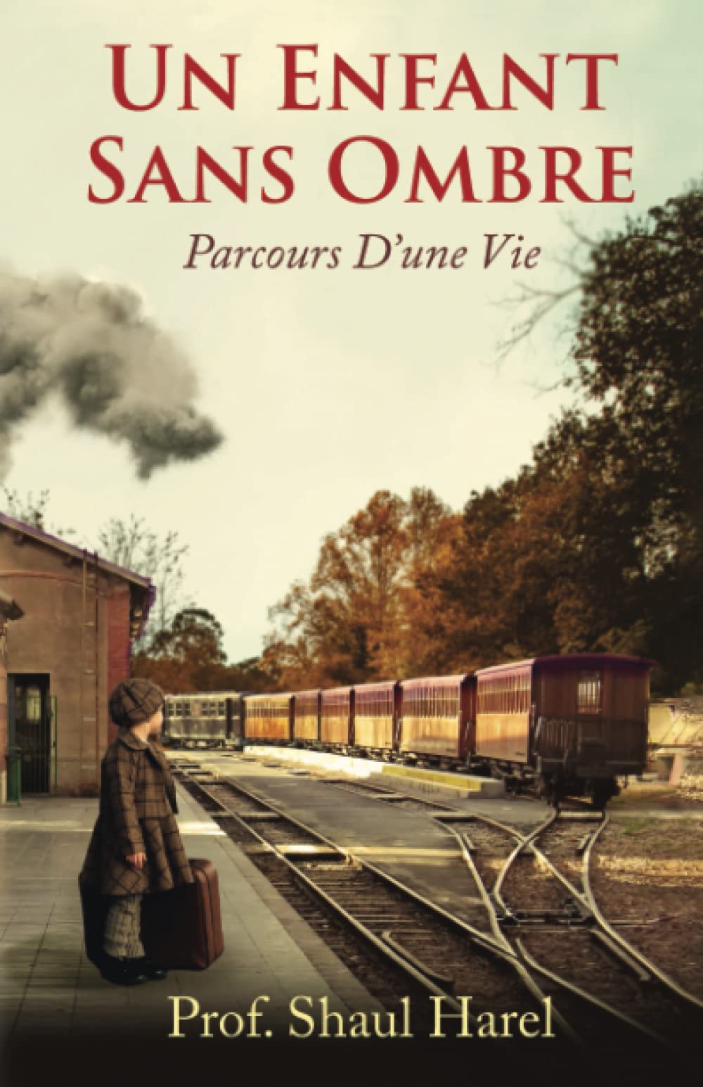 Un enfant sans ombre book