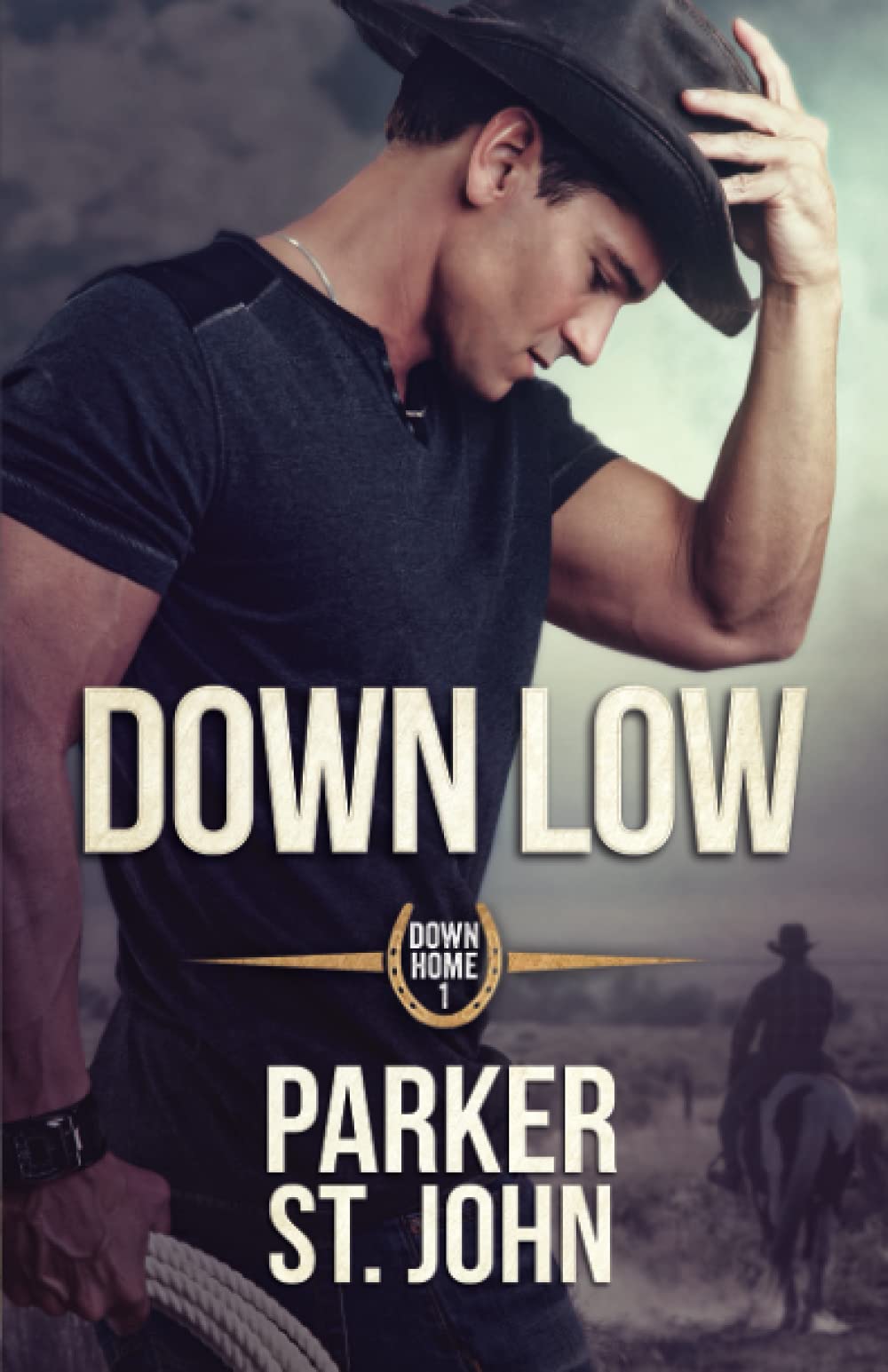 Down Low (Down Home, Band 1) LGBTQ+ Books