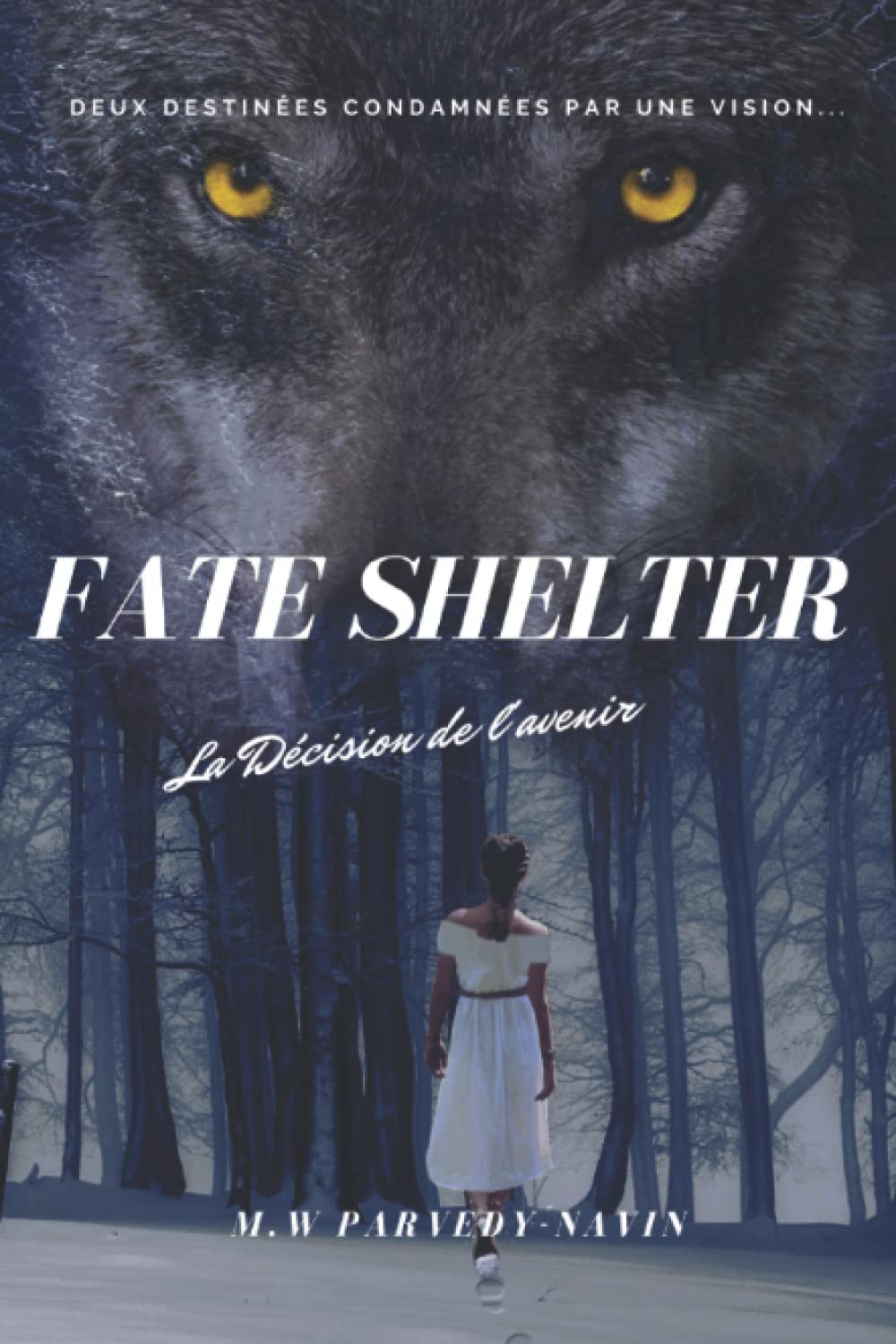 FATE SHELTER: La Décision de l'avenir book