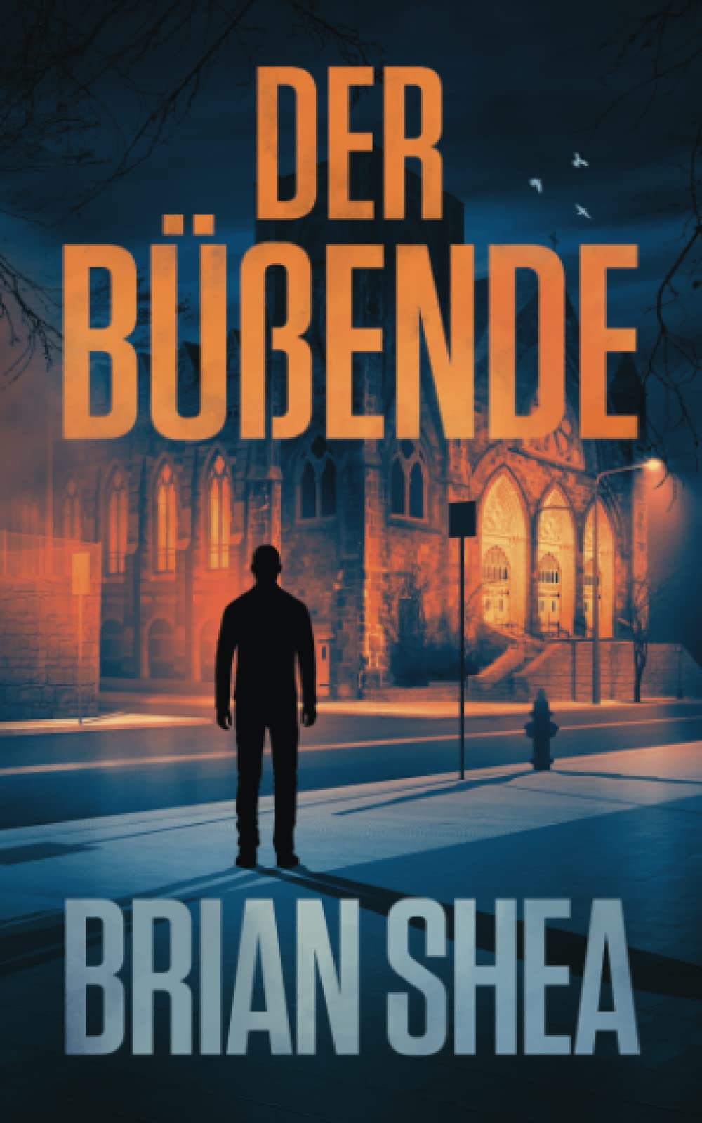 Der Büßende (Die Bostoner Krimi Reihe, Band 3) Detective & CSI