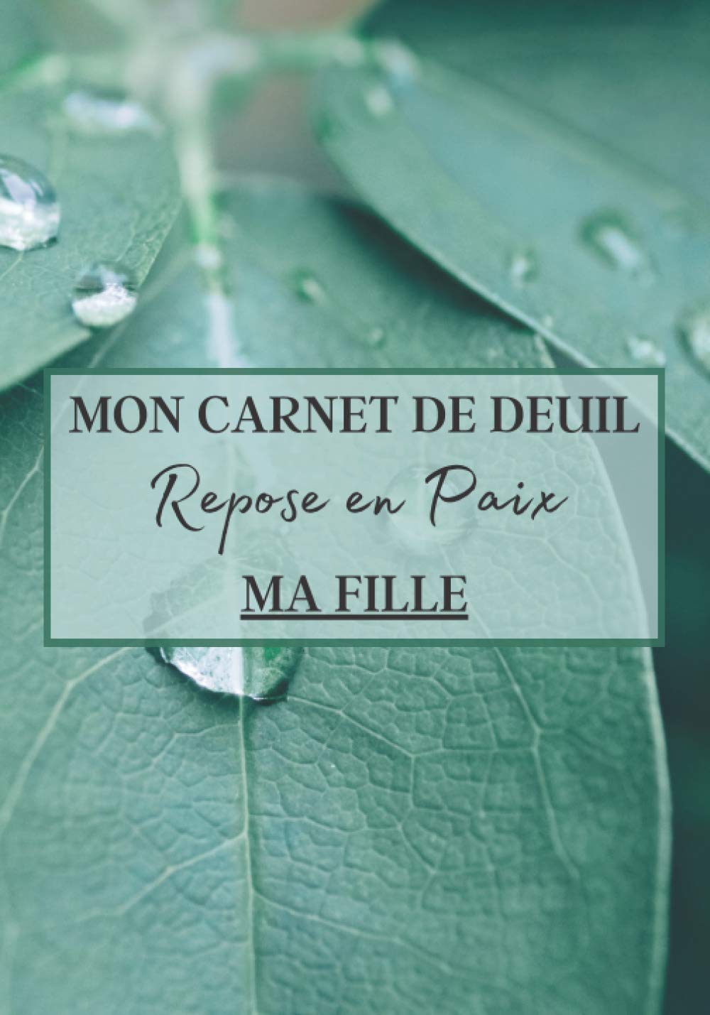 Mon Carnet de Deuil Repose en Paix Ma Fille: Livre de deuil à remplir pour noter ces mémoires, souvenirs, émotions etc afin de gérer la perte d'un ... famille...) pour se sentir mieux | 120 jours book