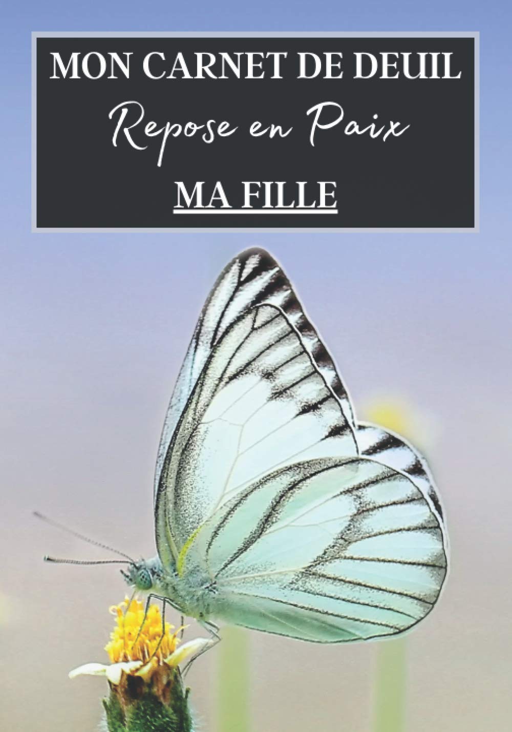 Mon Carnet de Deuil Repose en Paix Ma Fille: Livre de deuil à remplir pour noter ces mémoires, souvenirs, émotions etc afin de gérer la perte d'un ... famille...) pour se sentir mieux | 120 jours book
