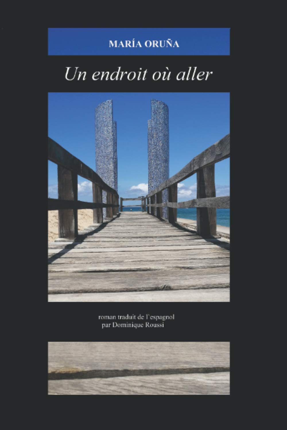 Un endroit ou aller: Roman traduit de l´espagnol par Dominique Roussi book