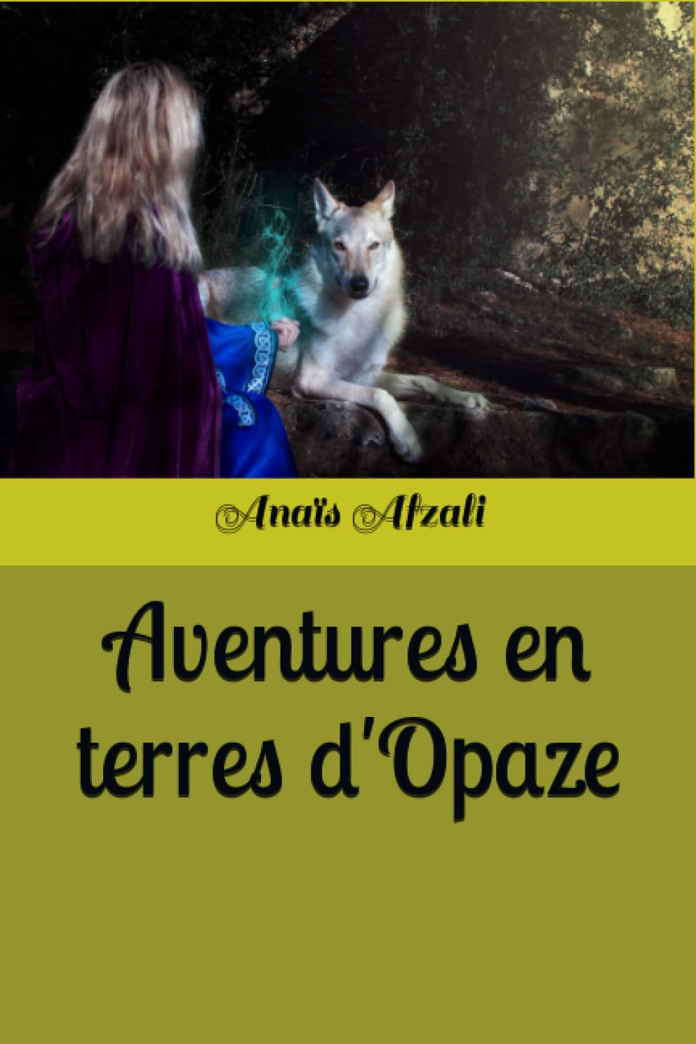 Aventures en terres d'Opaze book