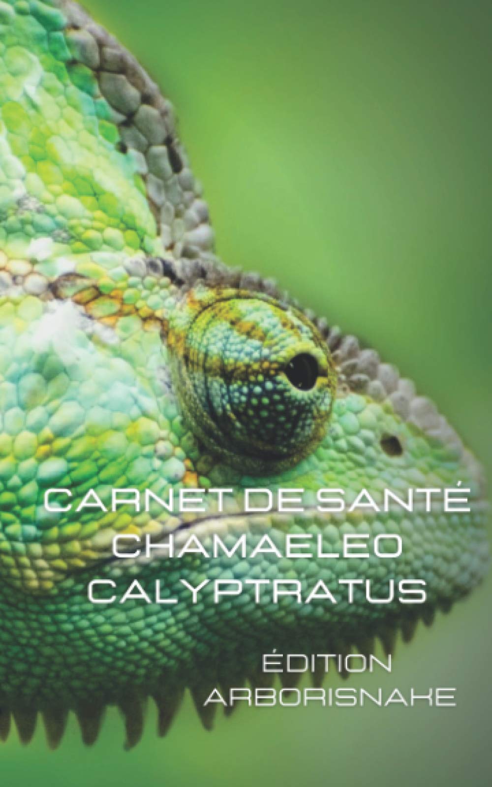 chamaeleo calyptratus caméléon casqué: 200 pages HQ à compléter, fiche reptile avec photo, nourrissage, courbe de poids et taille, mues, reproduction, vétérinaire, notes book