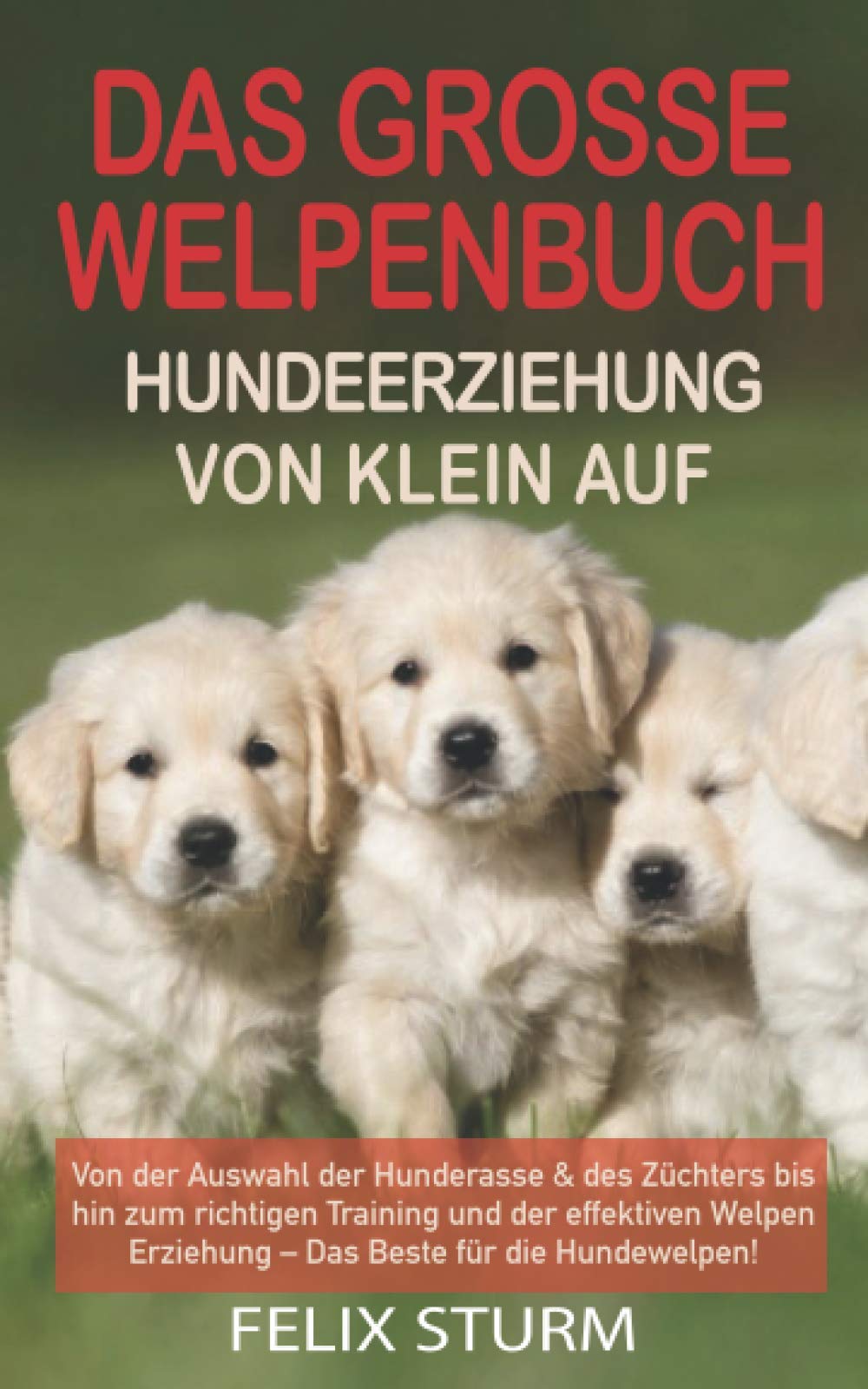 DAS GROSSE WELPEN BUCH - HUNDEERZIEHUNG VON KLEIN AUF: Von der Auswahl der Hunderasse & des Züchters bis hin zum richtigen Training und der effektiven Welpen Erziehung – Das Beste für die Hundewelpen! Film, Art & Culture