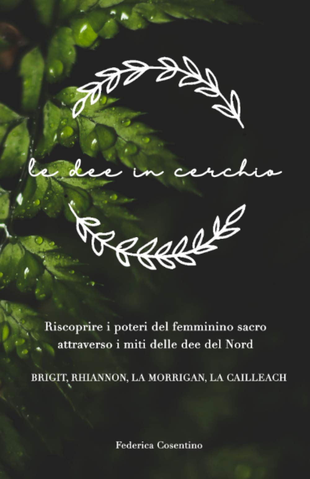 Le Dee in cerchio: Riscoprire i poteri del femminino sacro attraverso i miti delle Dee del Nord - Brigit, Rhiannon, La Morrigan e La Cailleach Religion & Esotericism